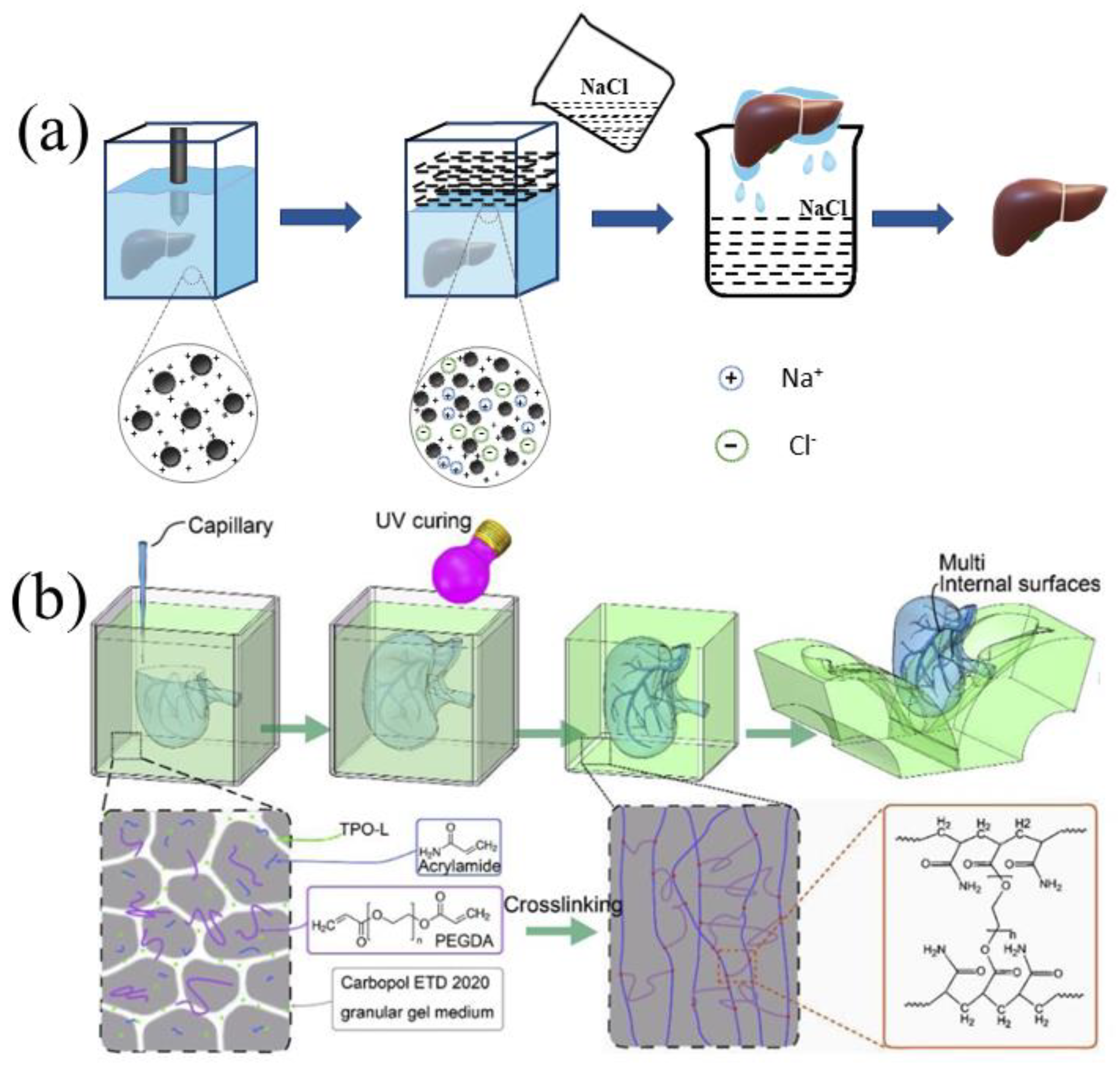 Polymers 14 02182 g006