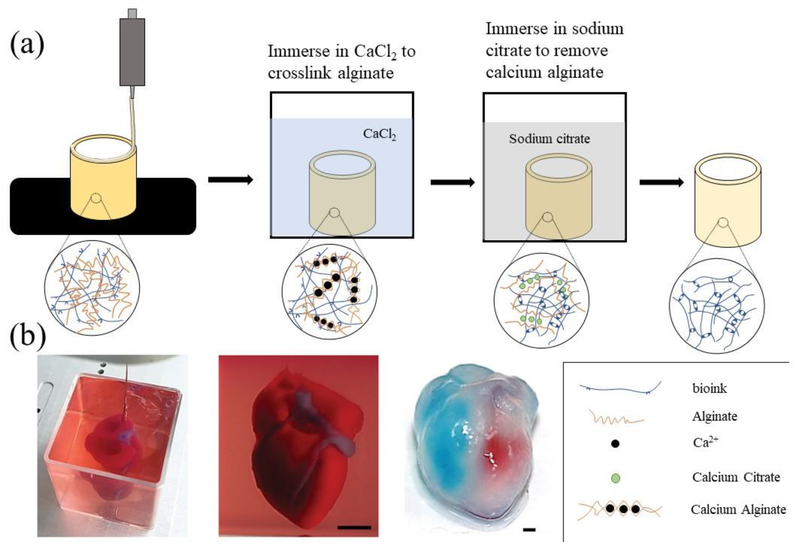 Polymers 14 02182 g007