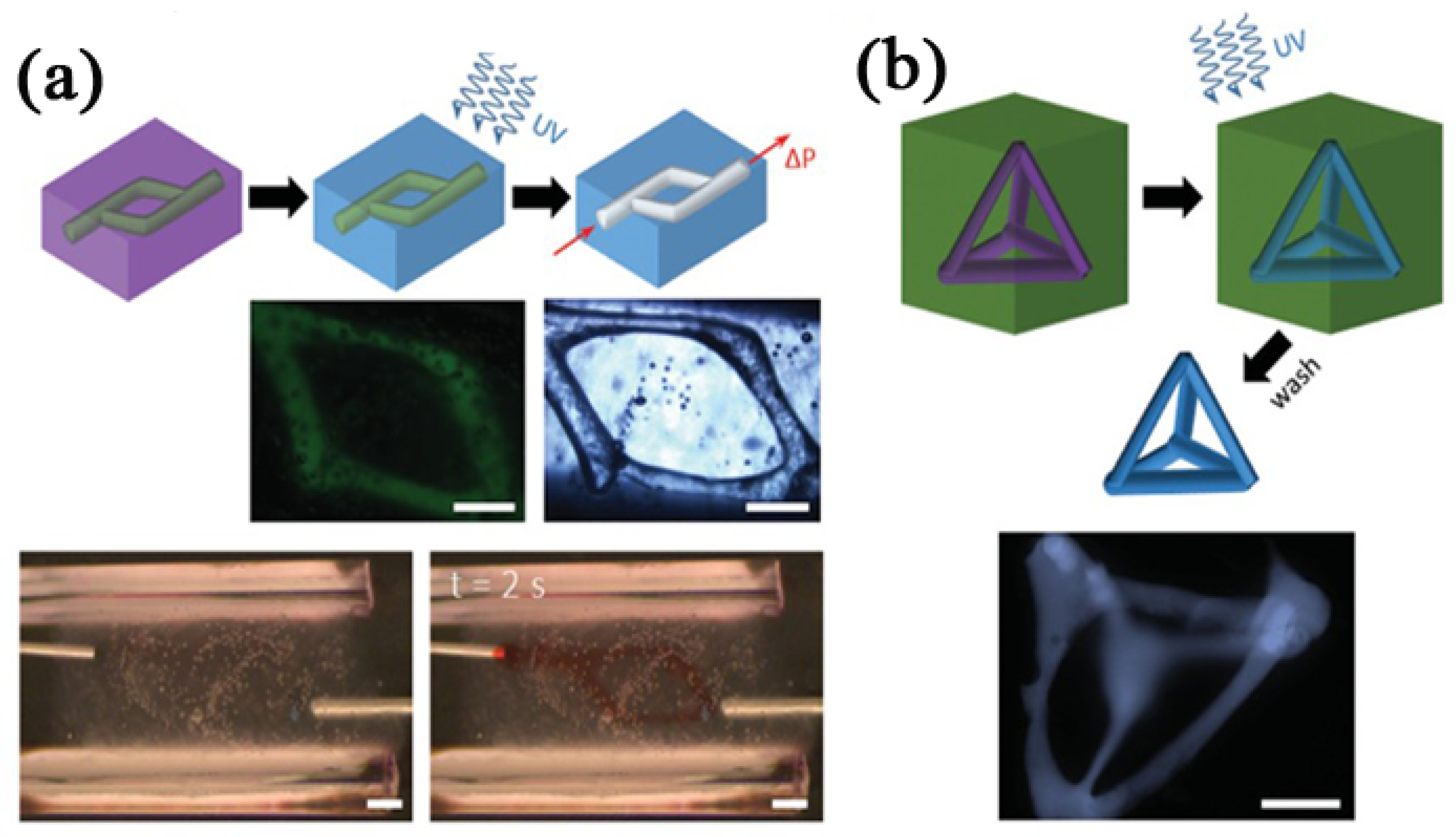 Polymers 14 02182 g008