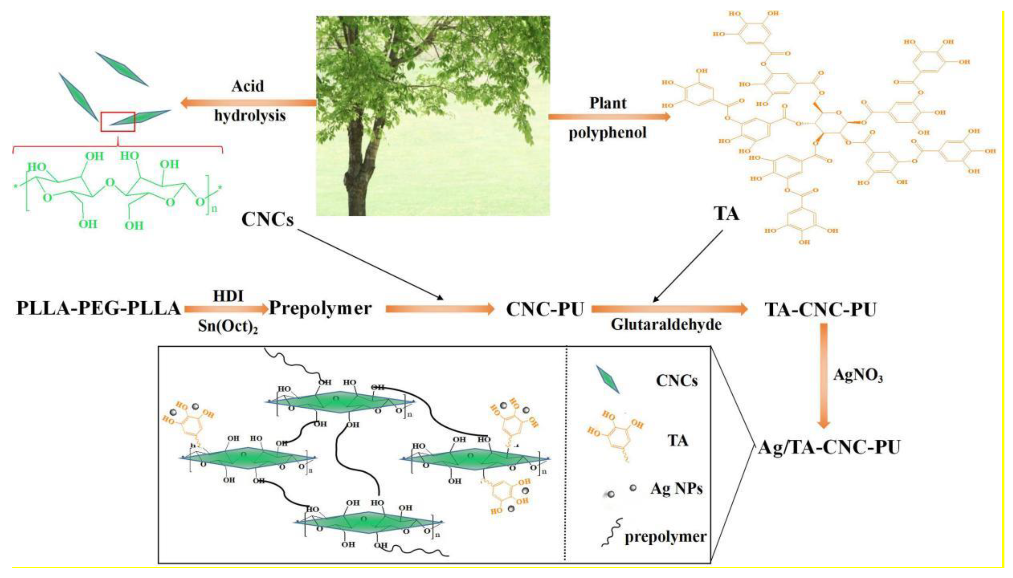 Polymers 14 02197 g001