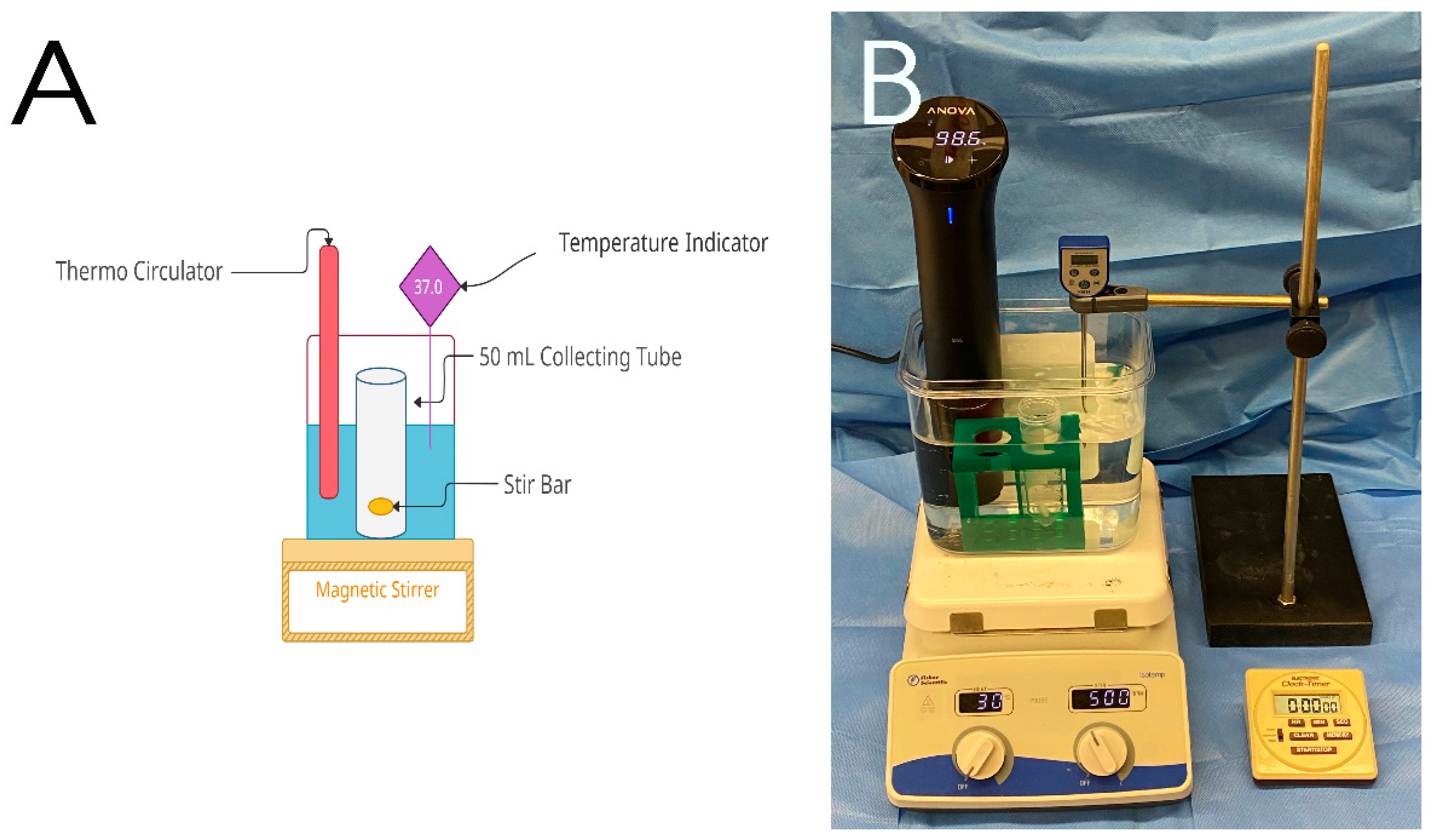 Polymers 14 02207 g002