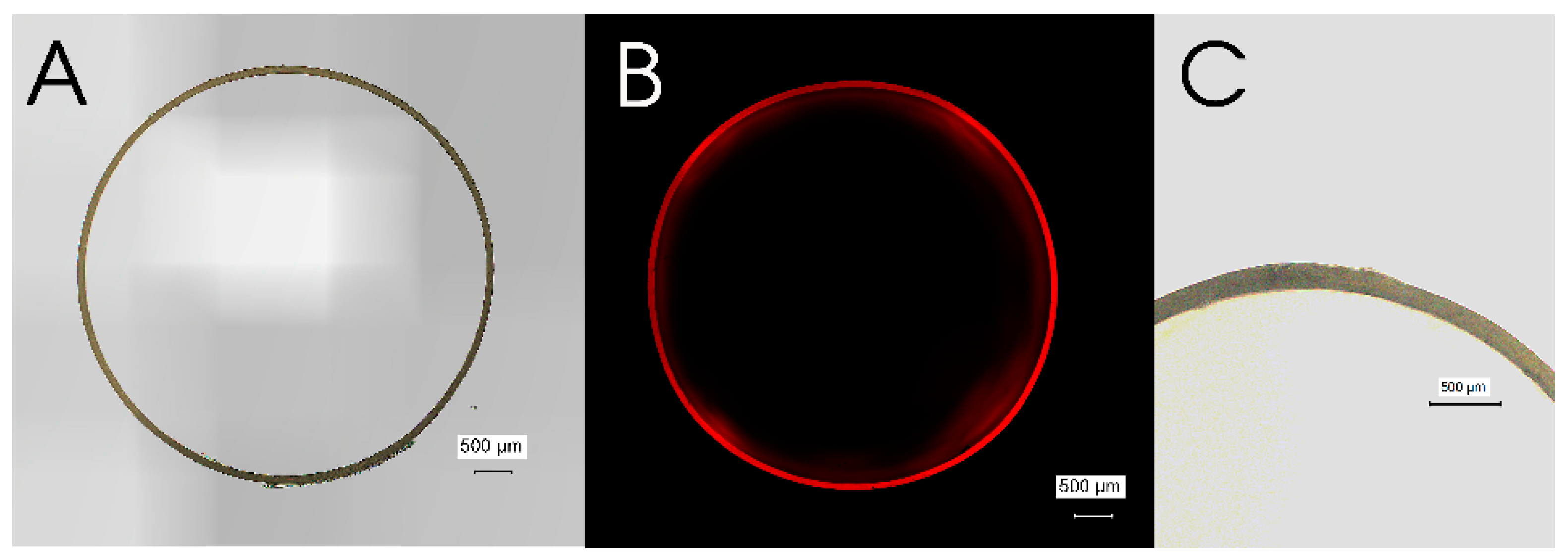 Polymers 14 02207 g004