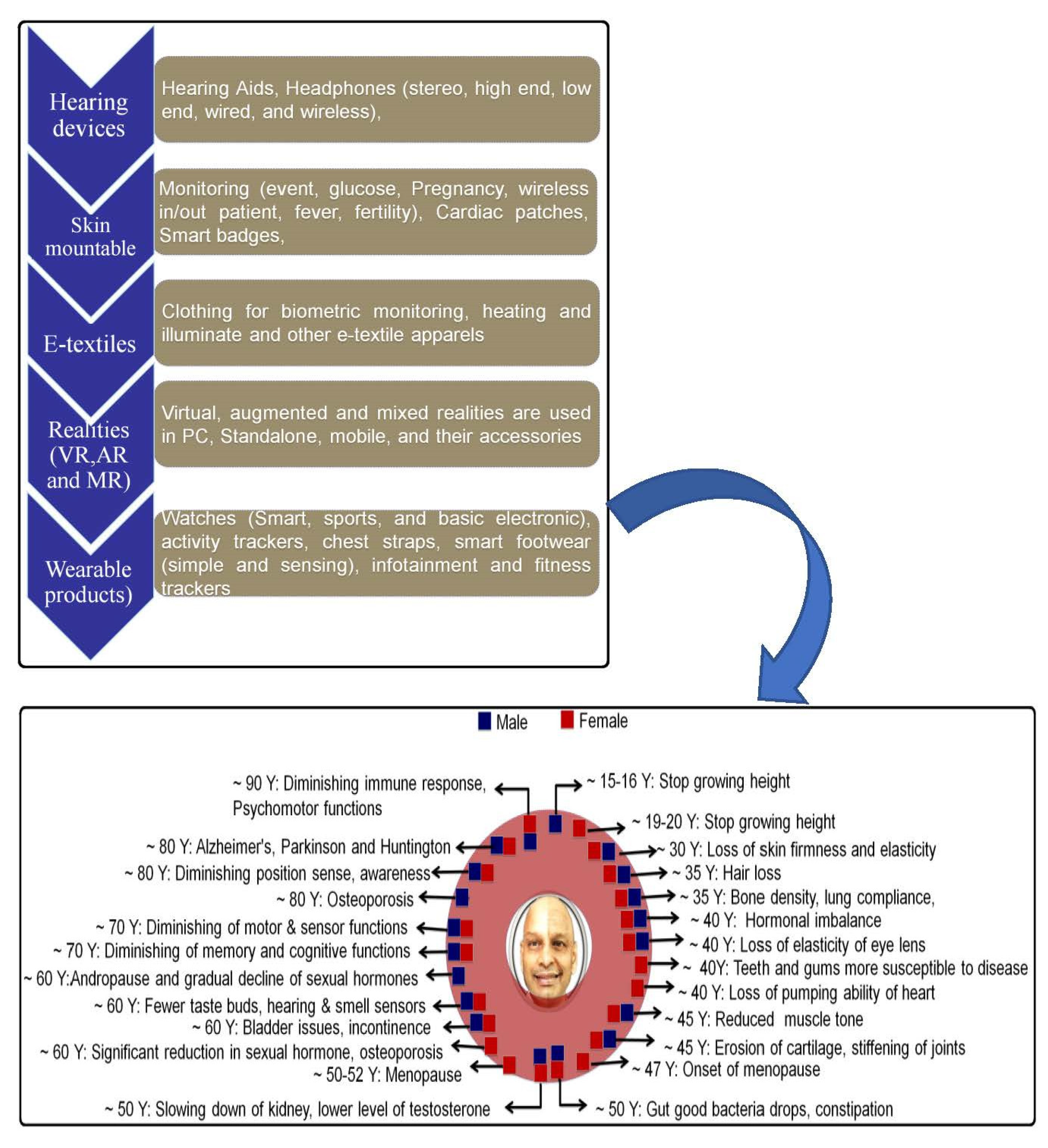Polymers 14 02219 g002