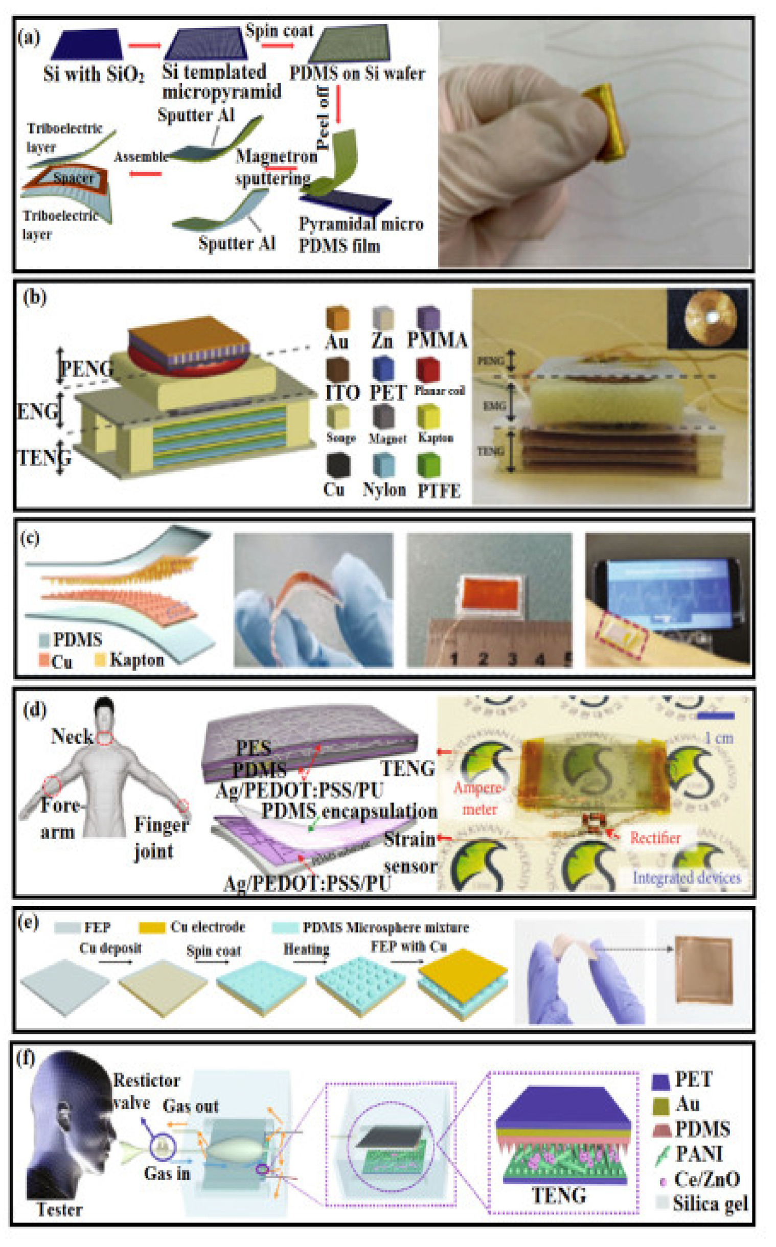 Polymers 14 02219 g008