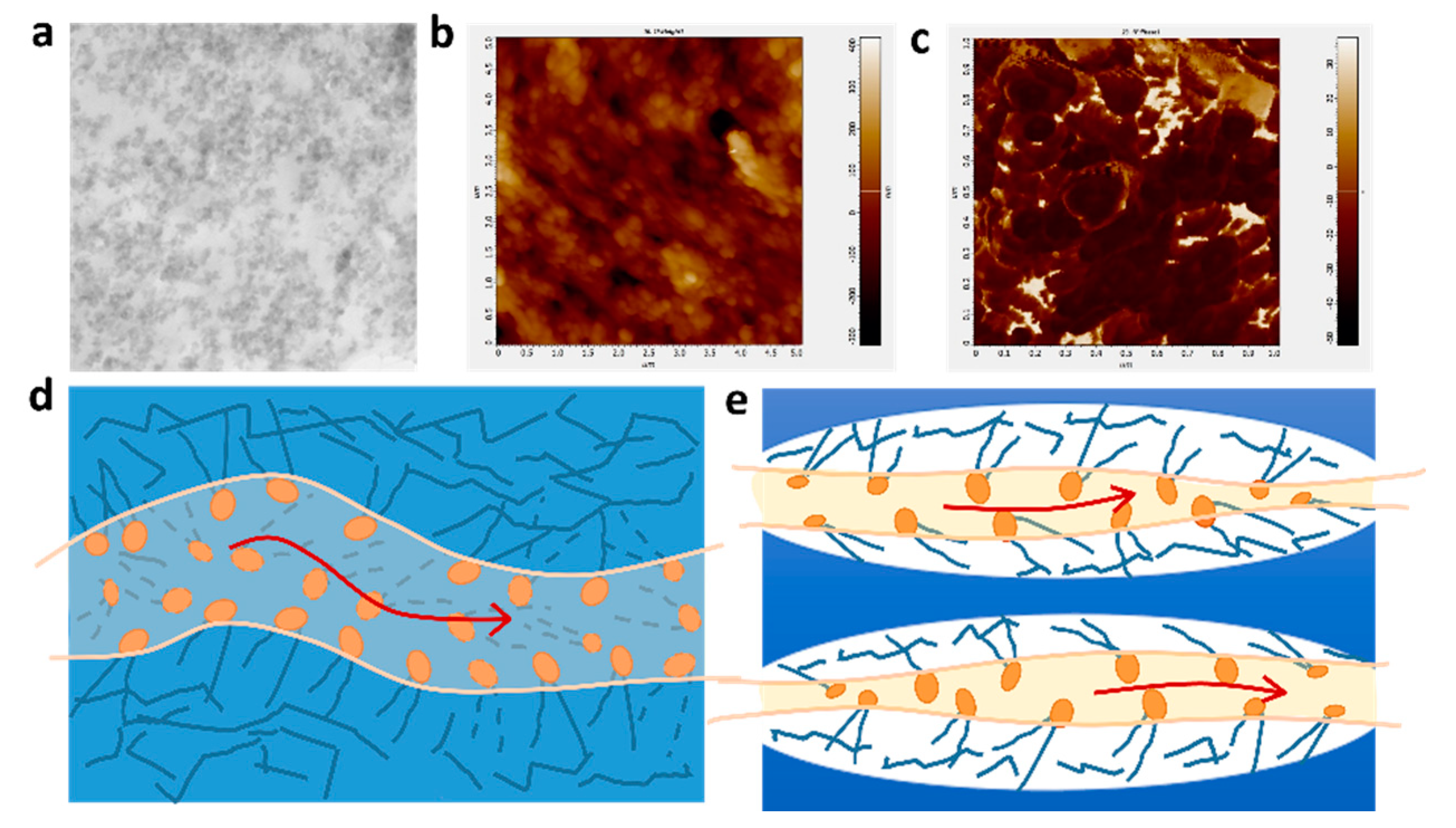 Polymers 14 02245 g005
