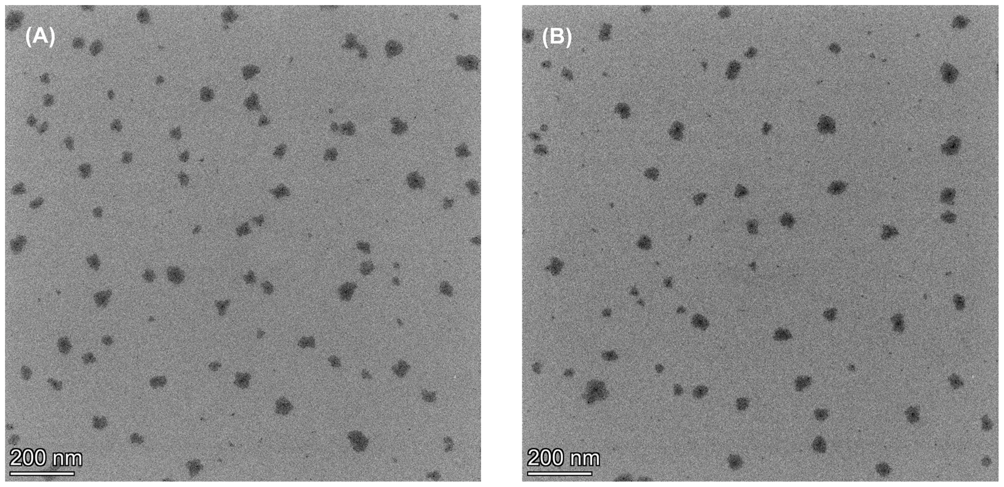 Polymers 14 02247 g006
