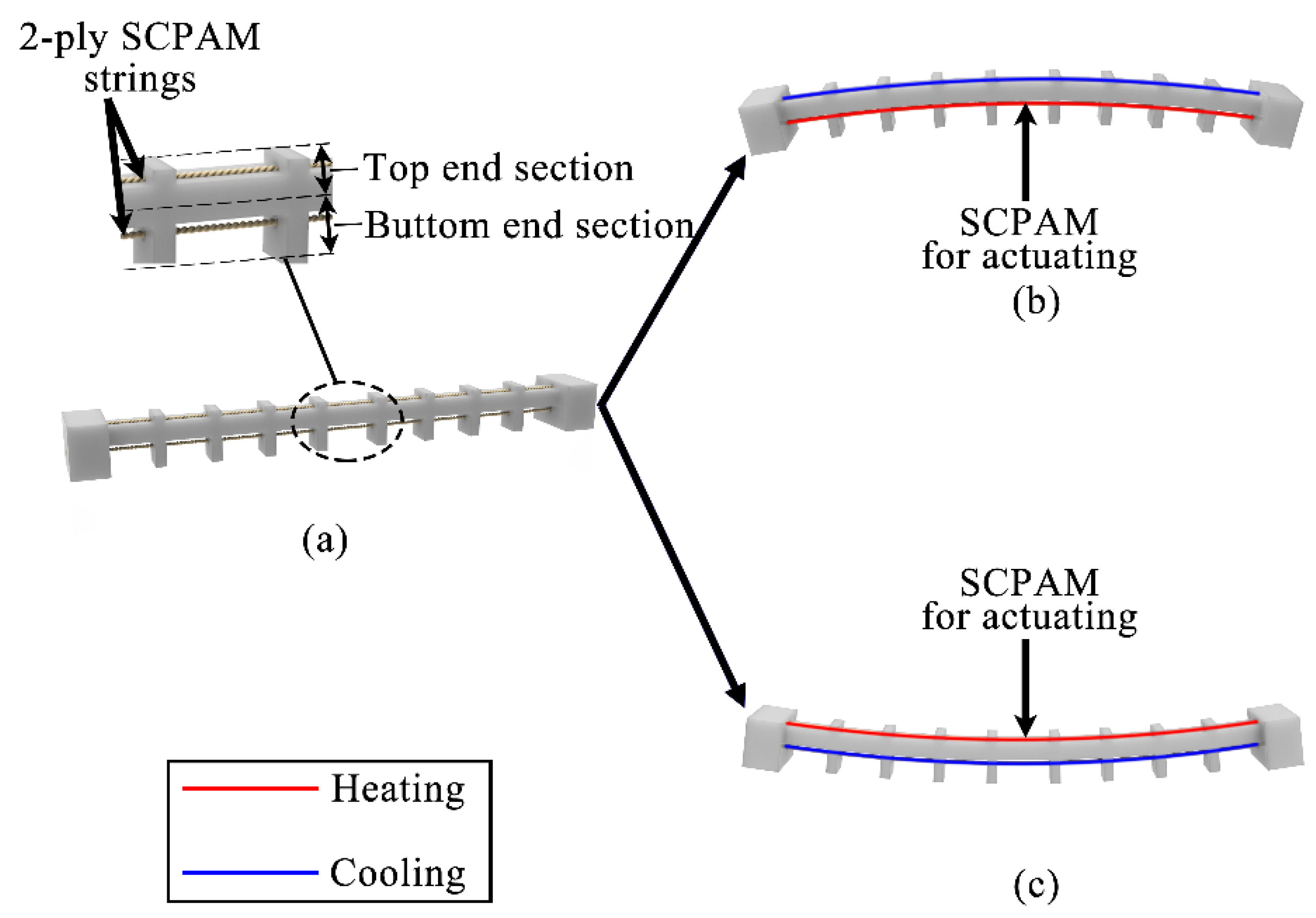 Polymers 14 02265 g002