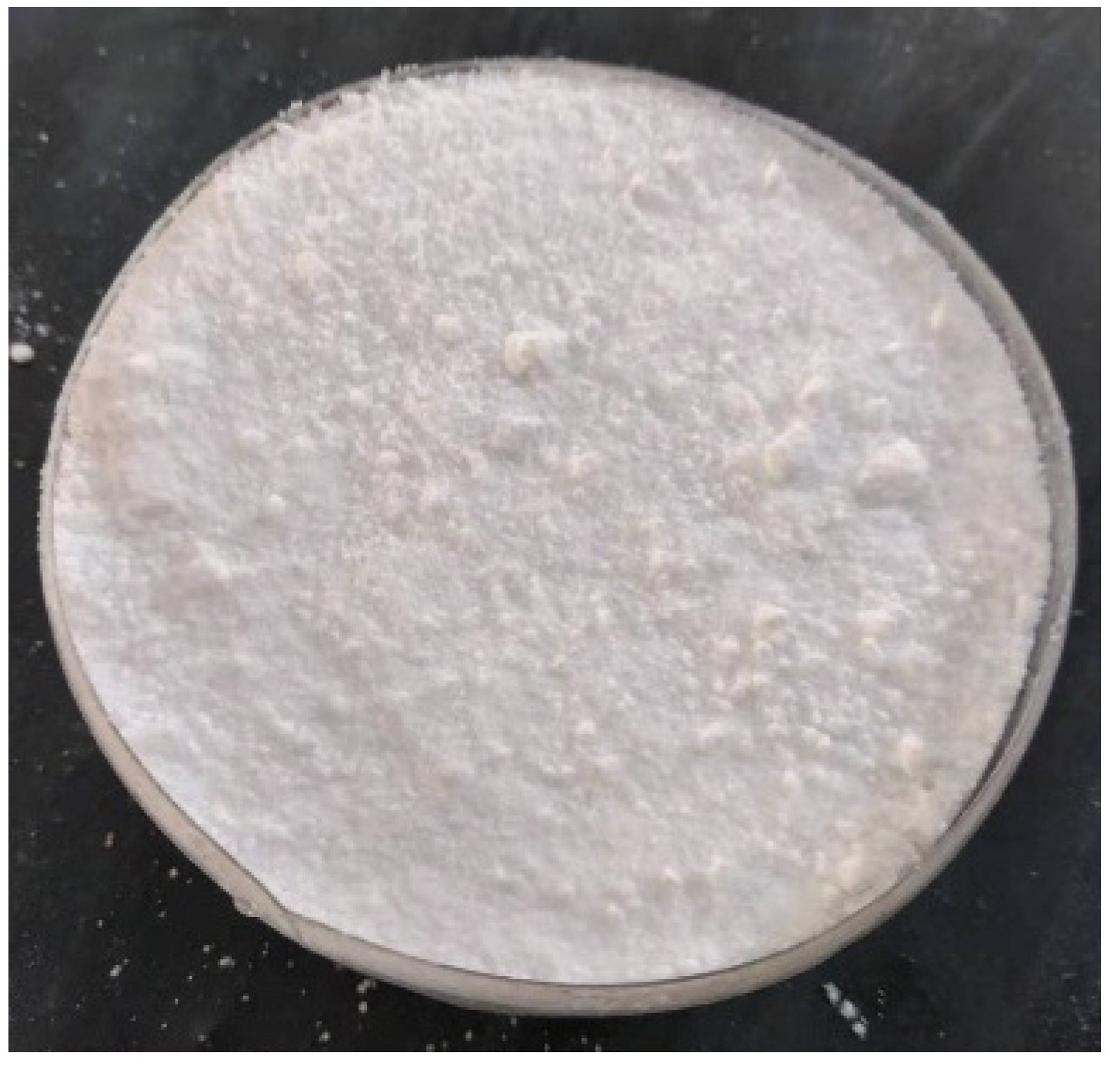 Polymers 14 02298 g001