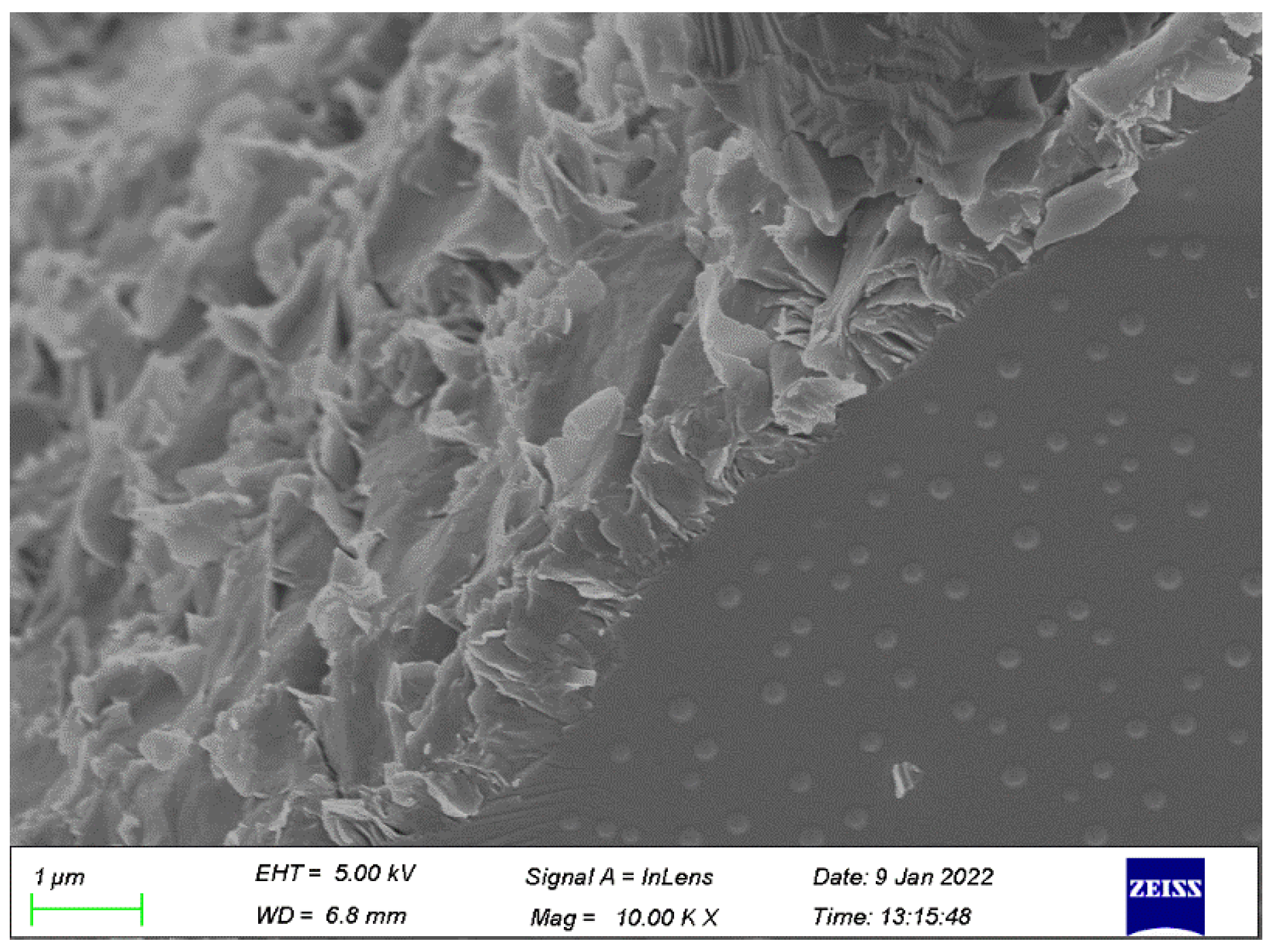 Polymers 14 02298 g008