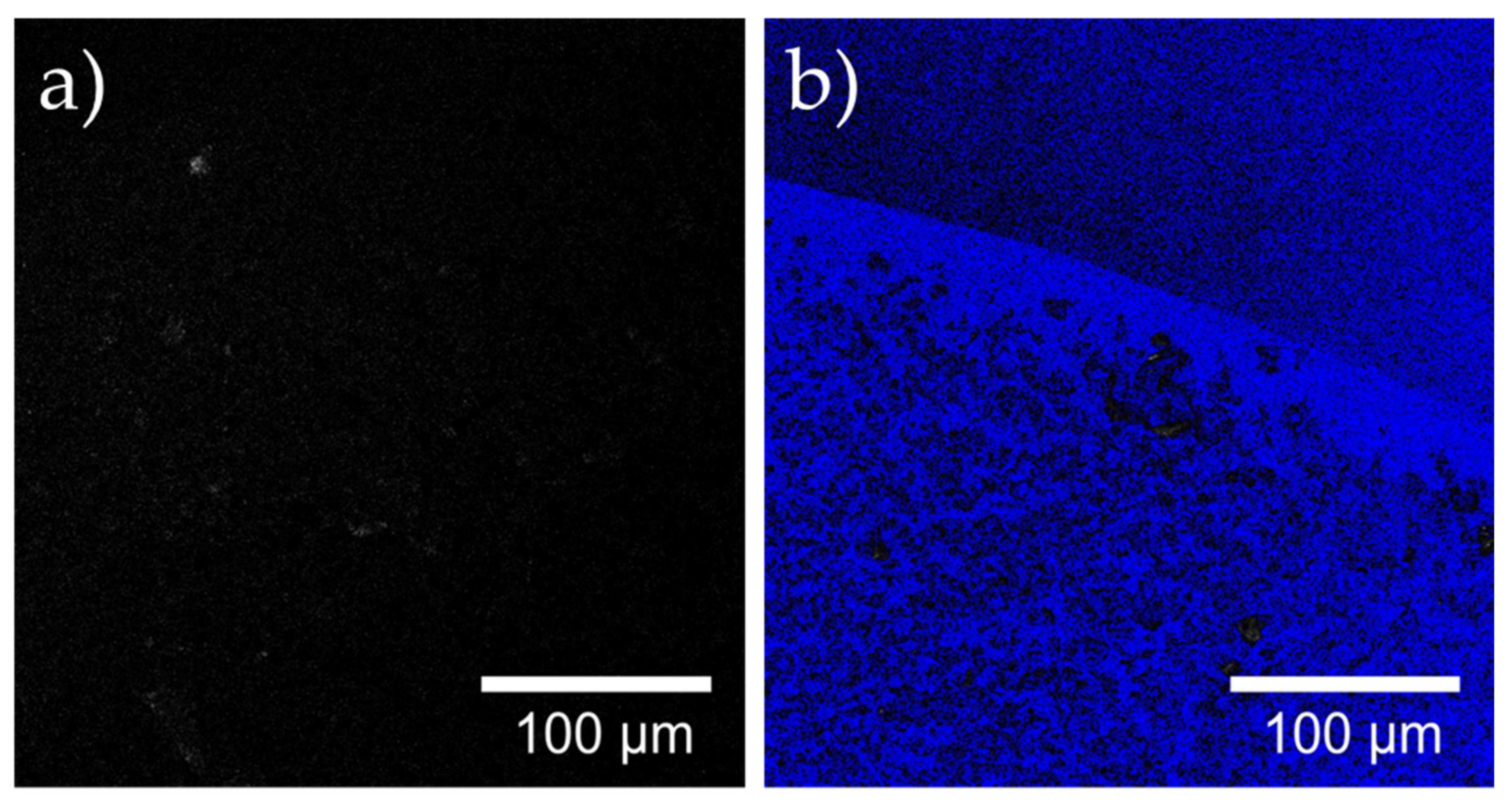 Polymers 14 02328 g006