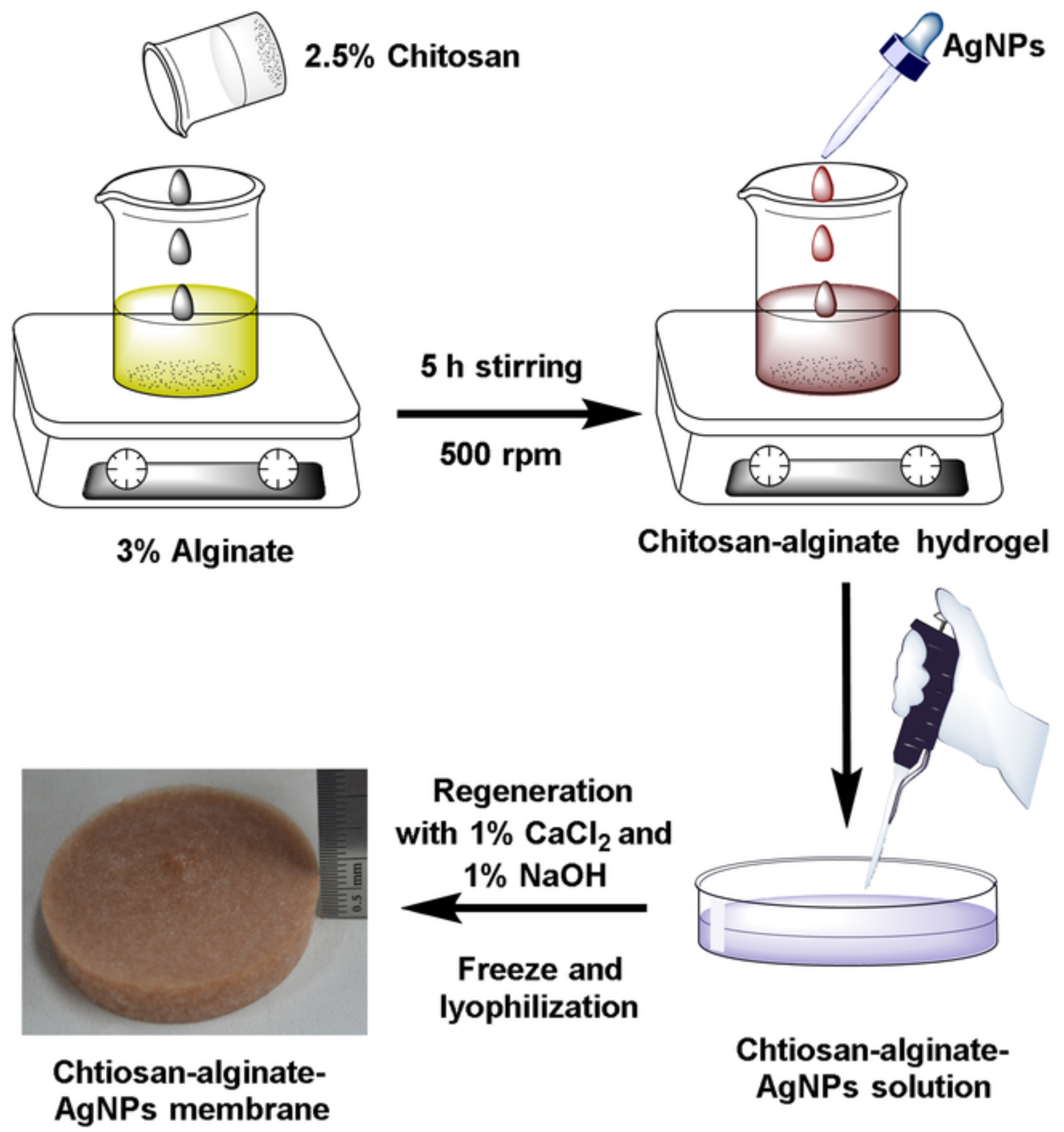 Polymers 14 02335 g019