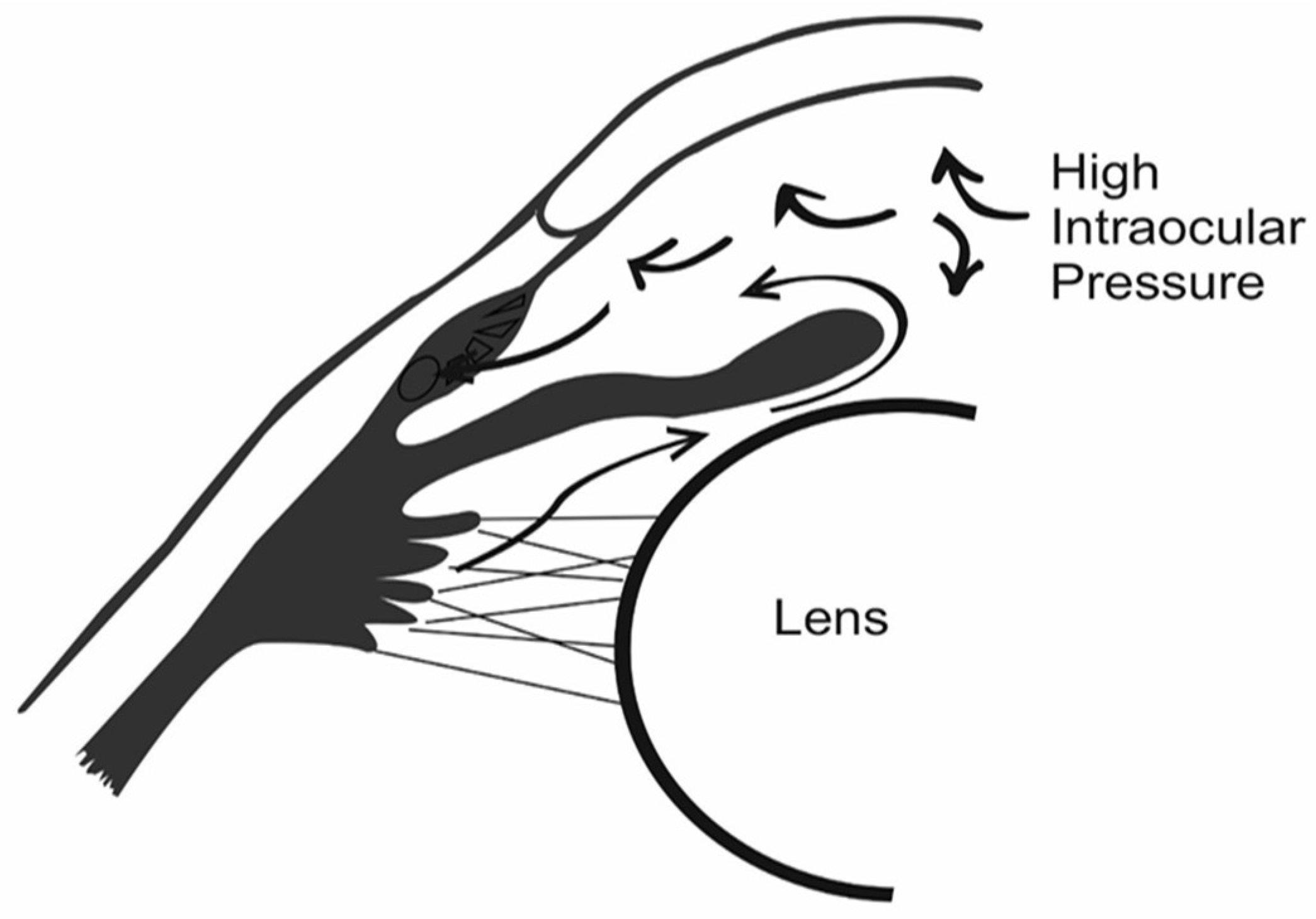 Polymers 14 02359 g002 Polymers 14 02359 g002