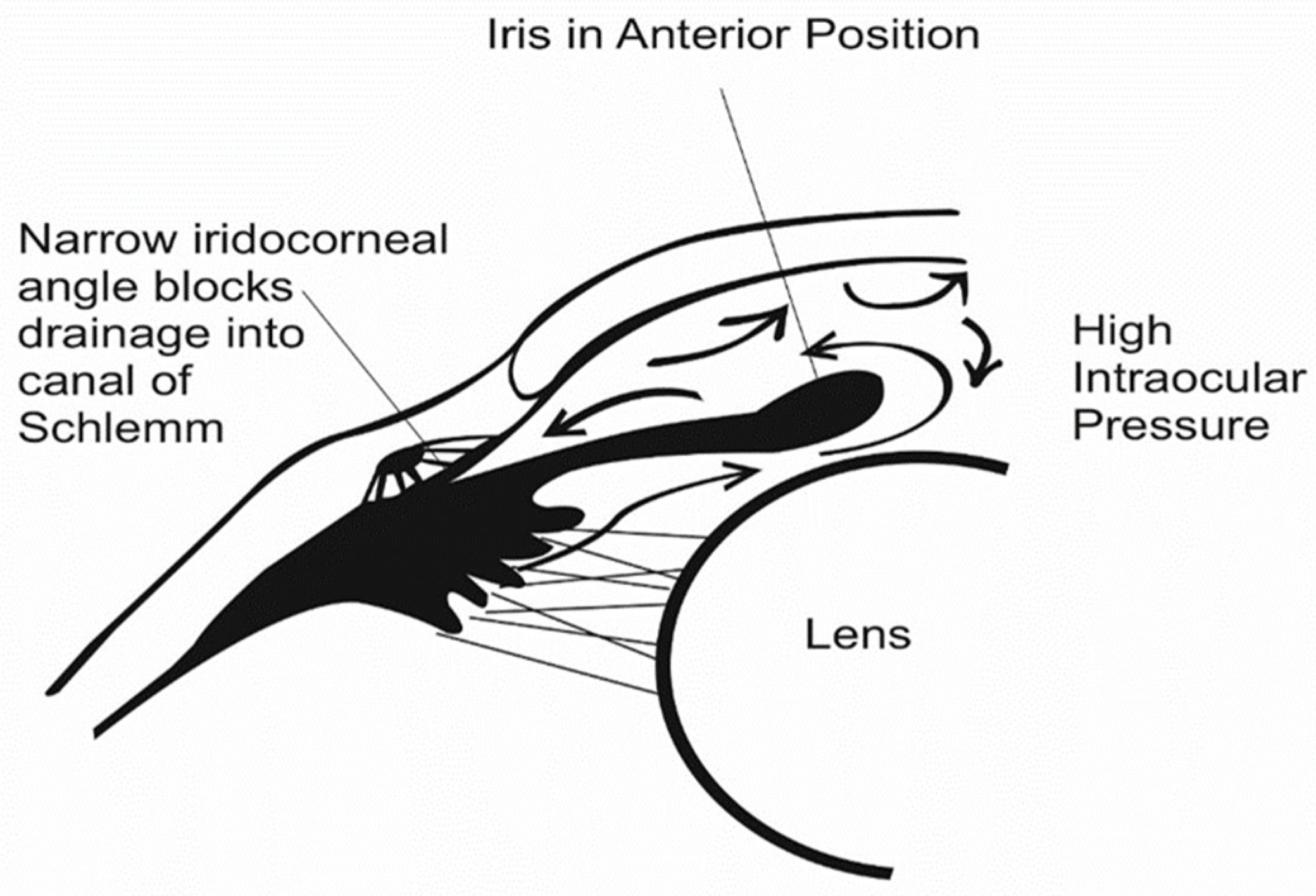 Polymers 14 02359 g003 Polymers 14 02359 g003