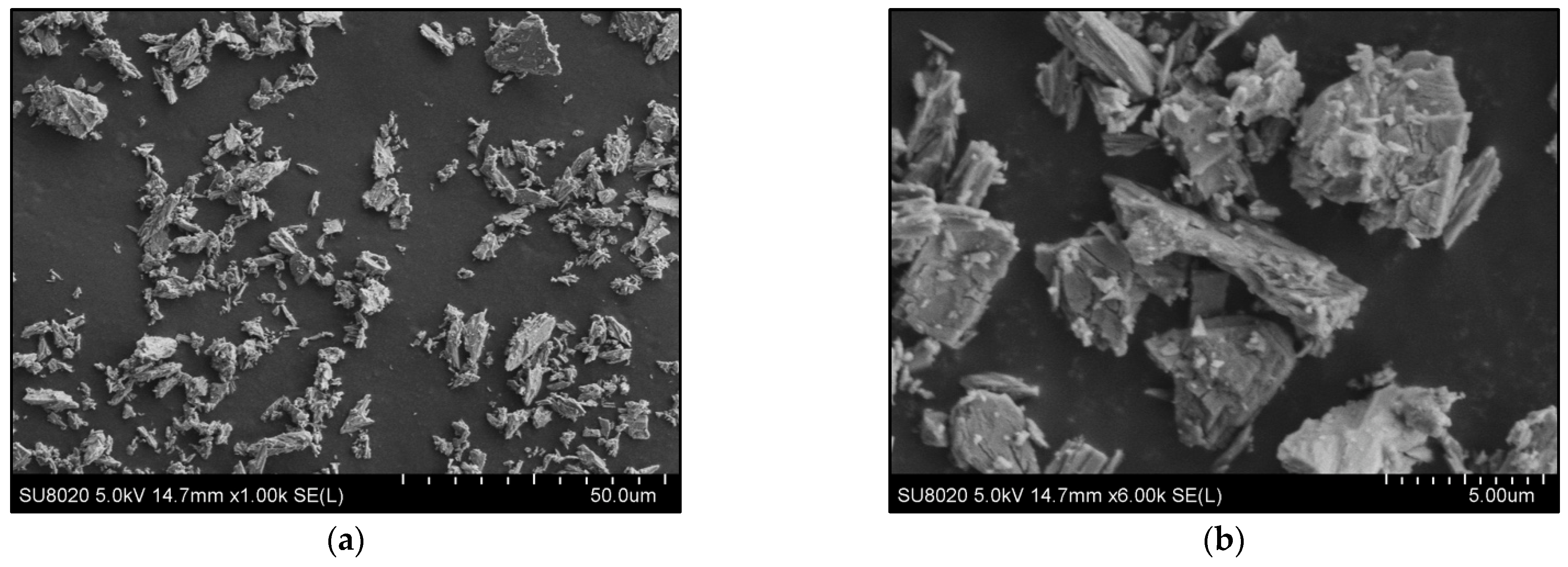 Polymers 14 02360 g001