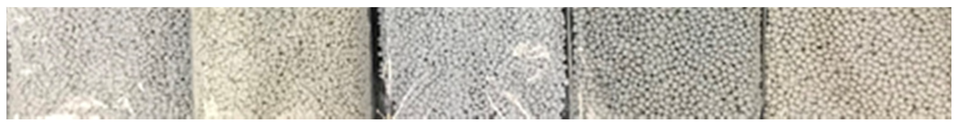 Polymers 14 02366 g013
