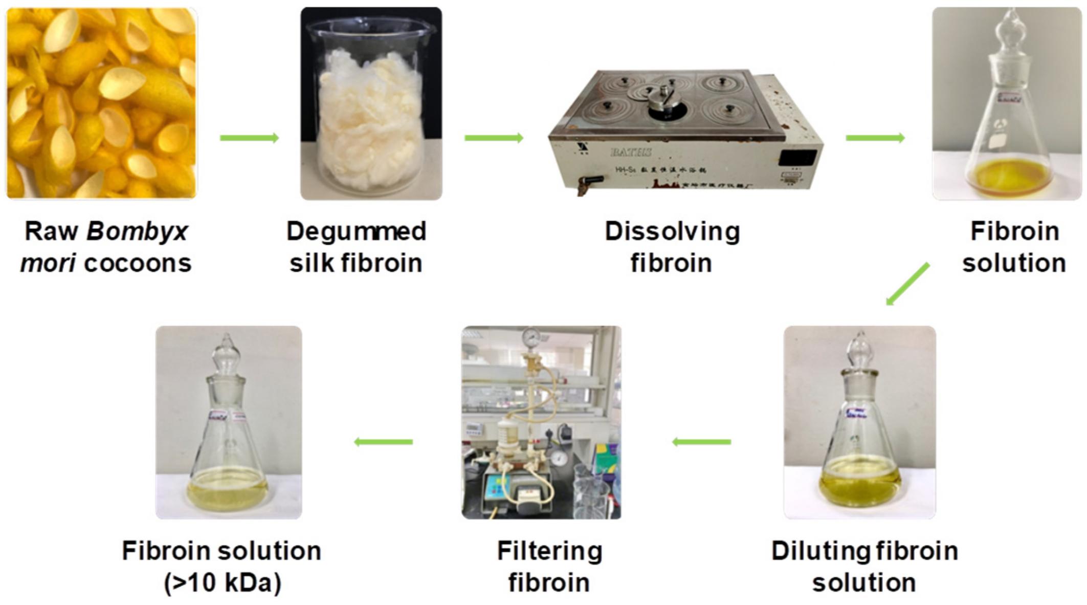 Polymers 14 02409 g002