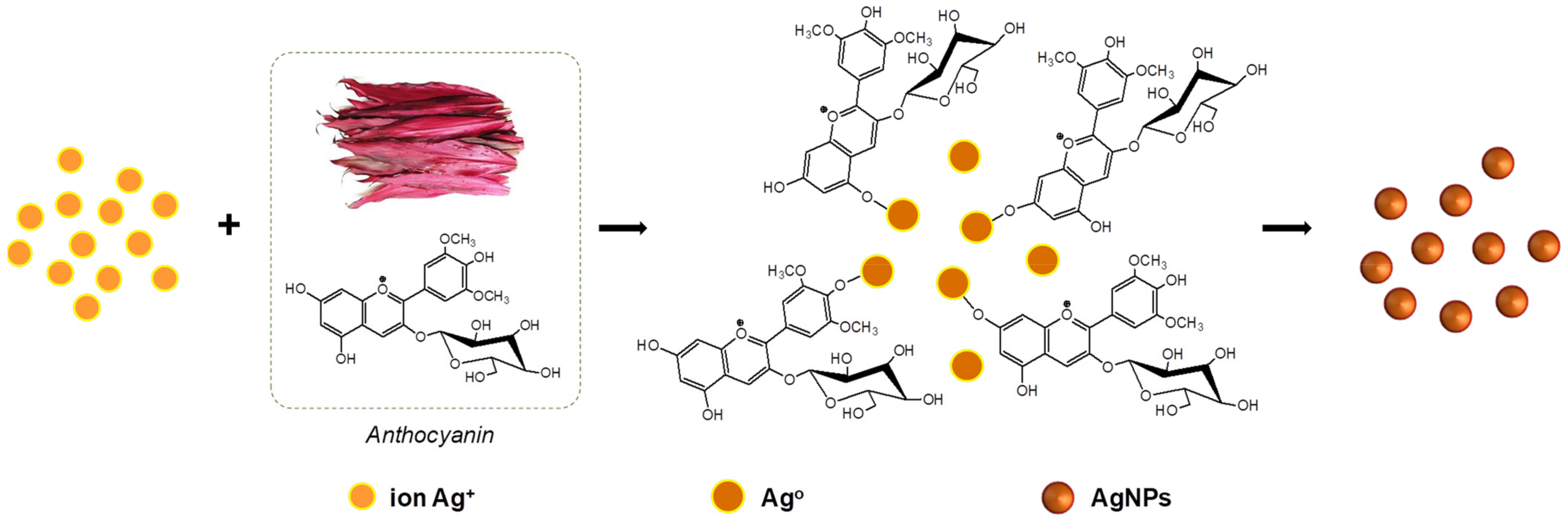 Polymers 14 02409 g006