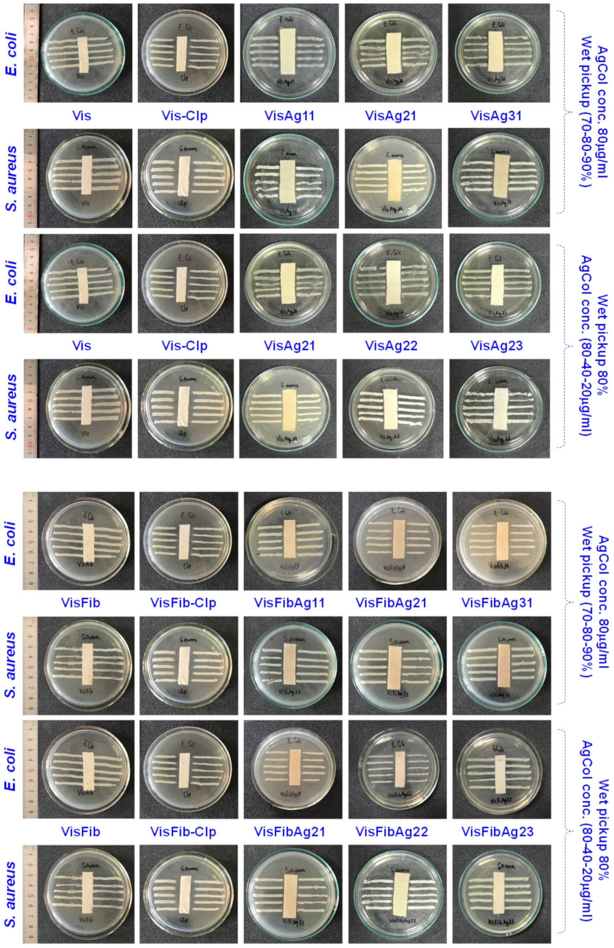 Polymers 14 02409 g008