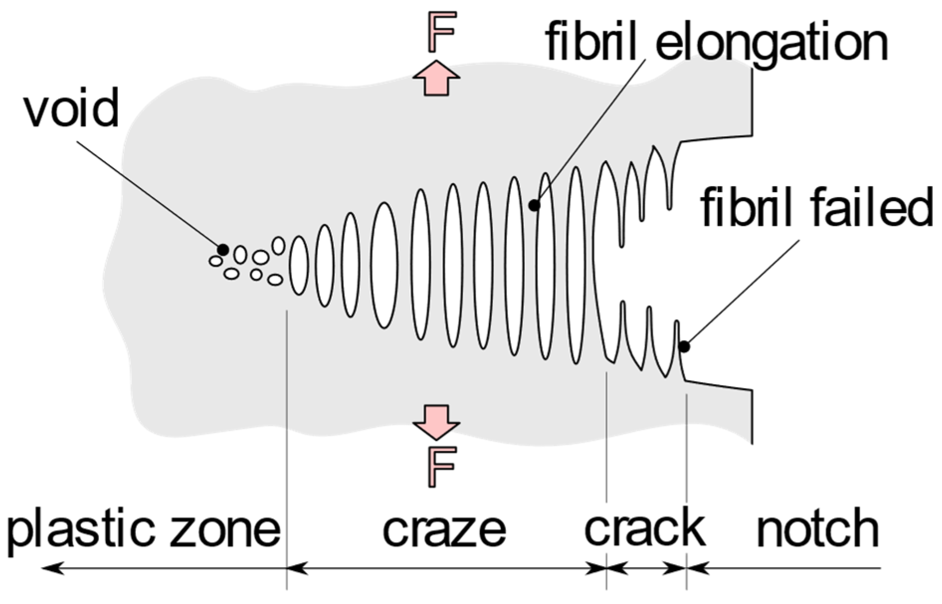 Polymers Free FullText Environmental Stress Cracking of High