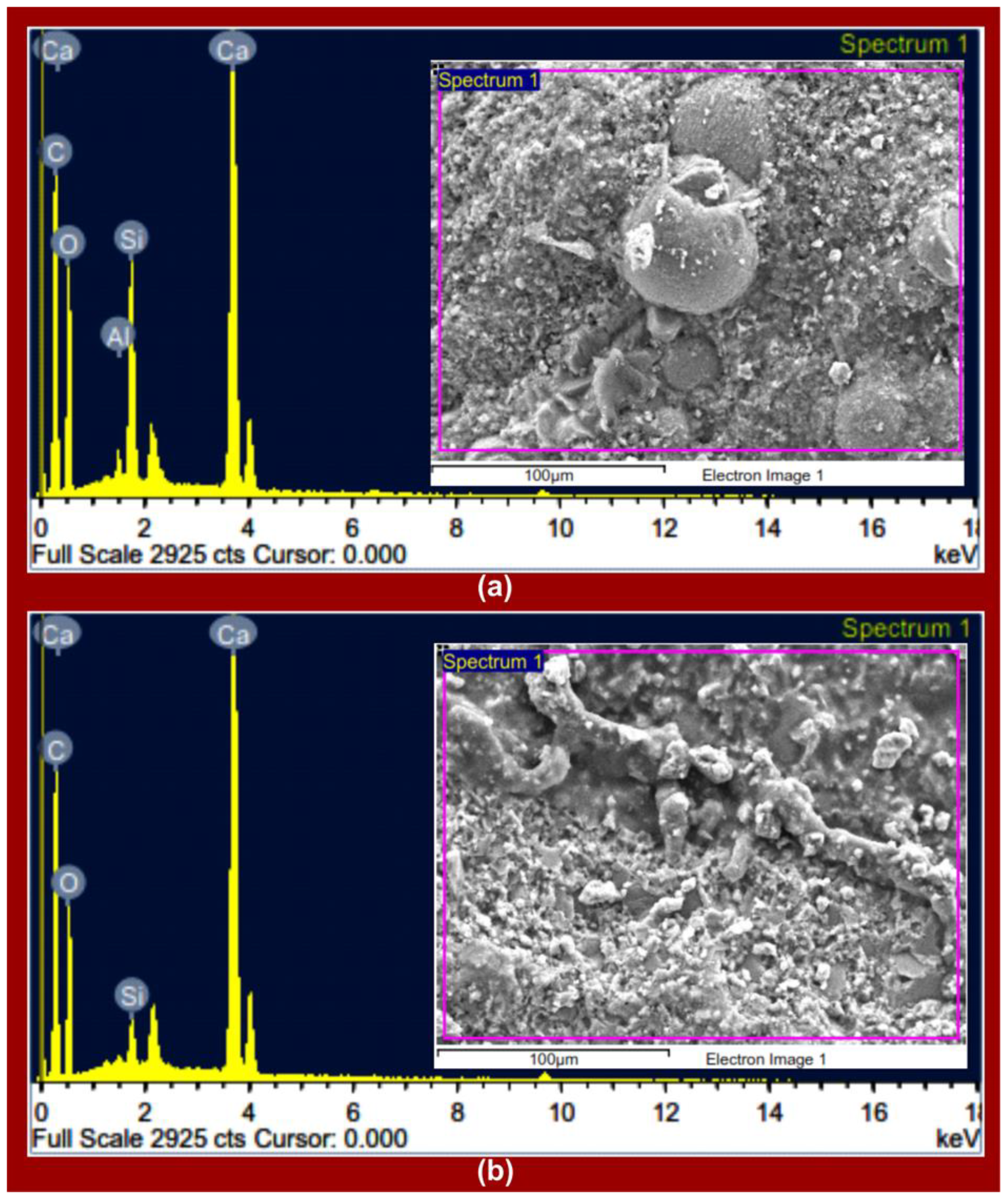 Polymers 14 02417 g006