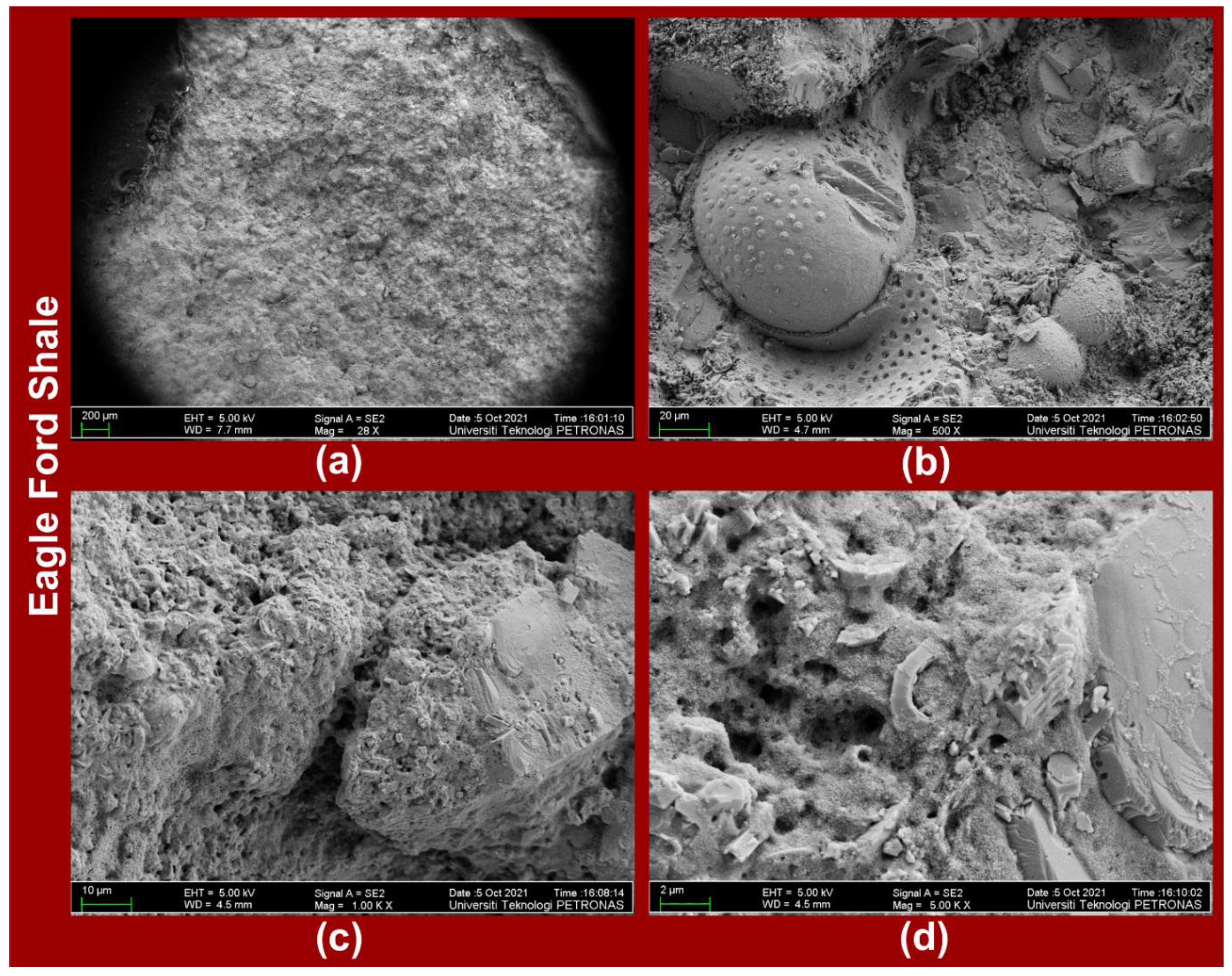 Polymers 14 02417 g008