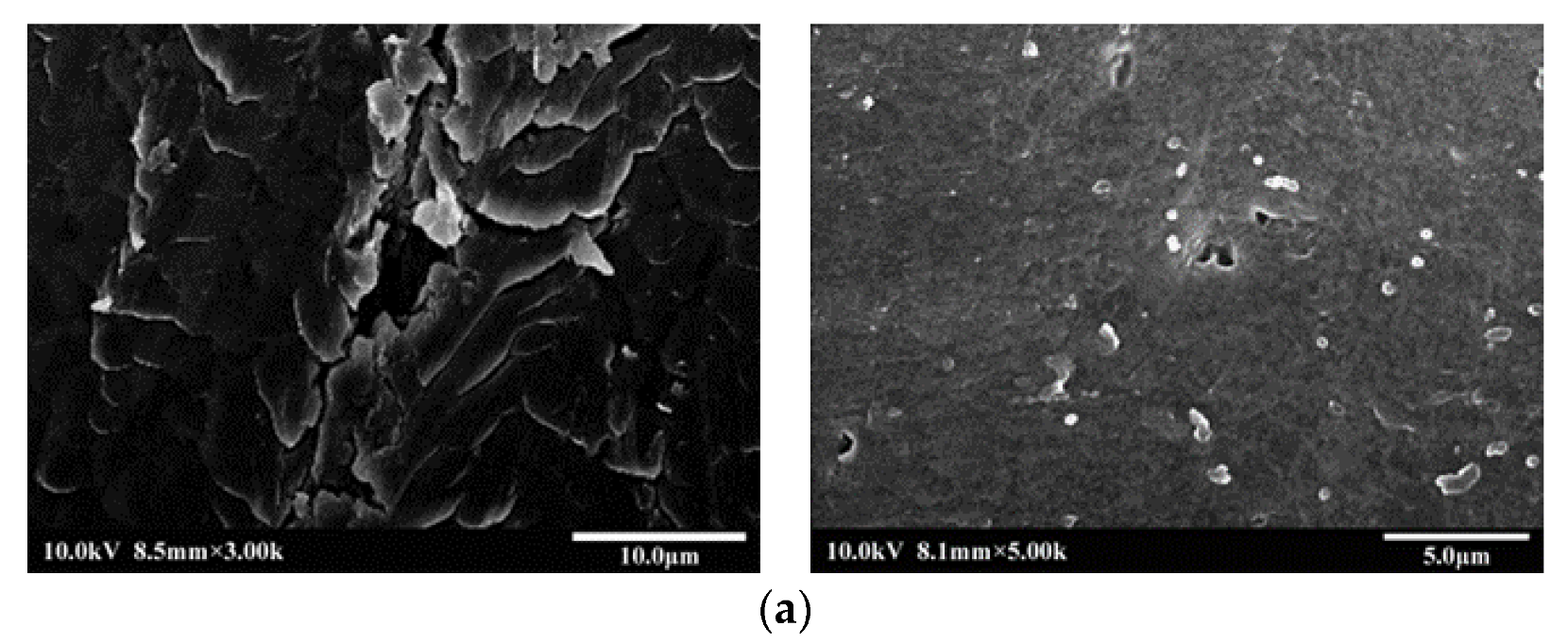 Polymers 14 02424 g003a