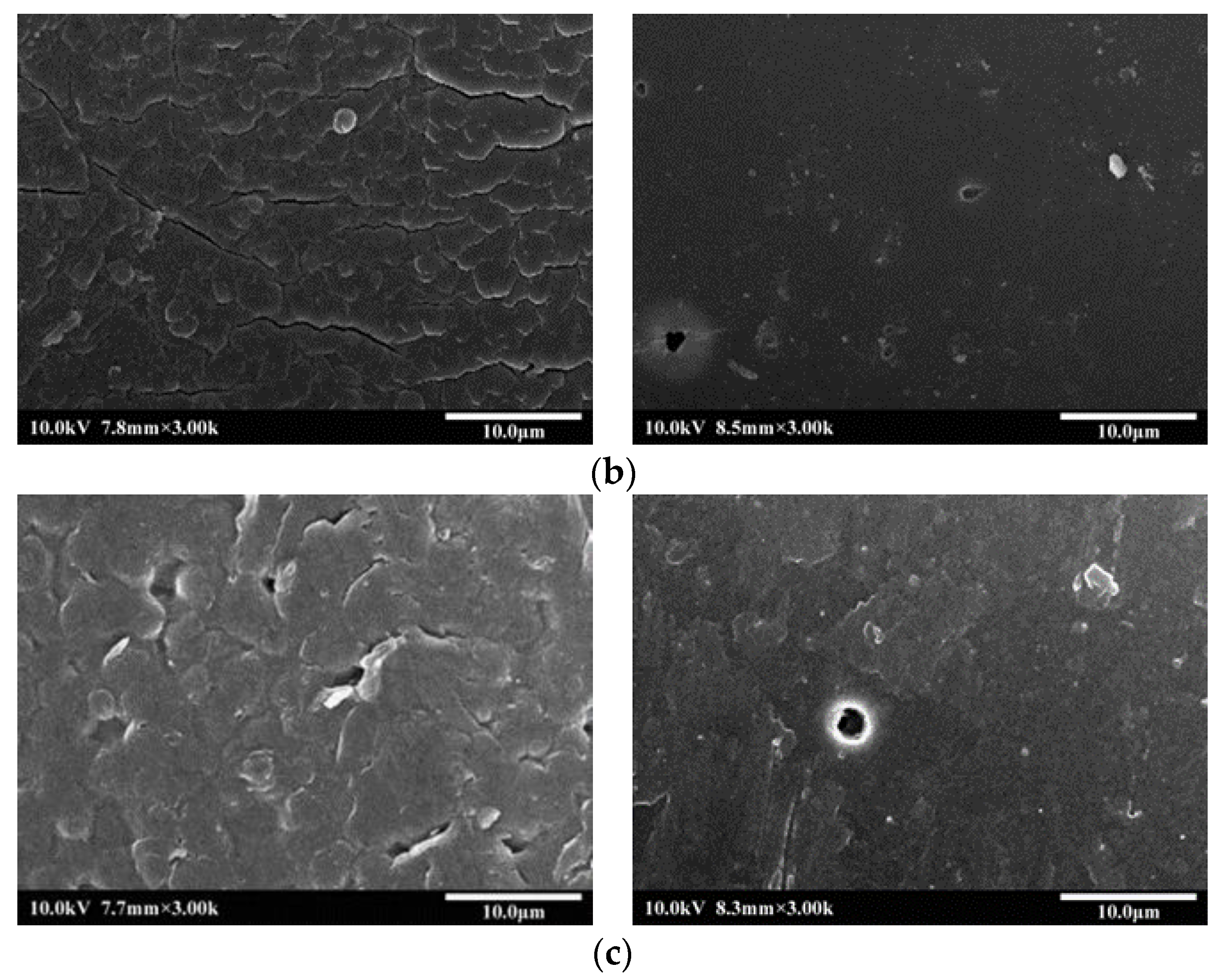 Polymers 14 02424 g003b