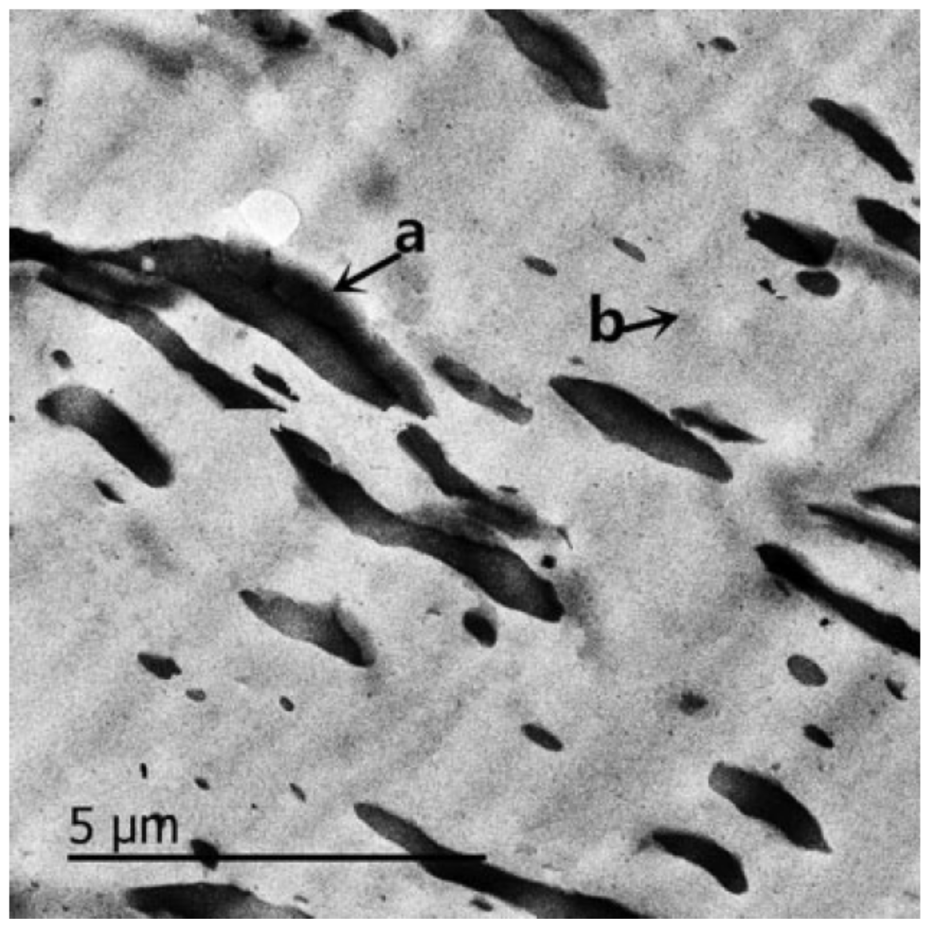 Polymers 14 02427 g017 Polymers 14 02427 g017