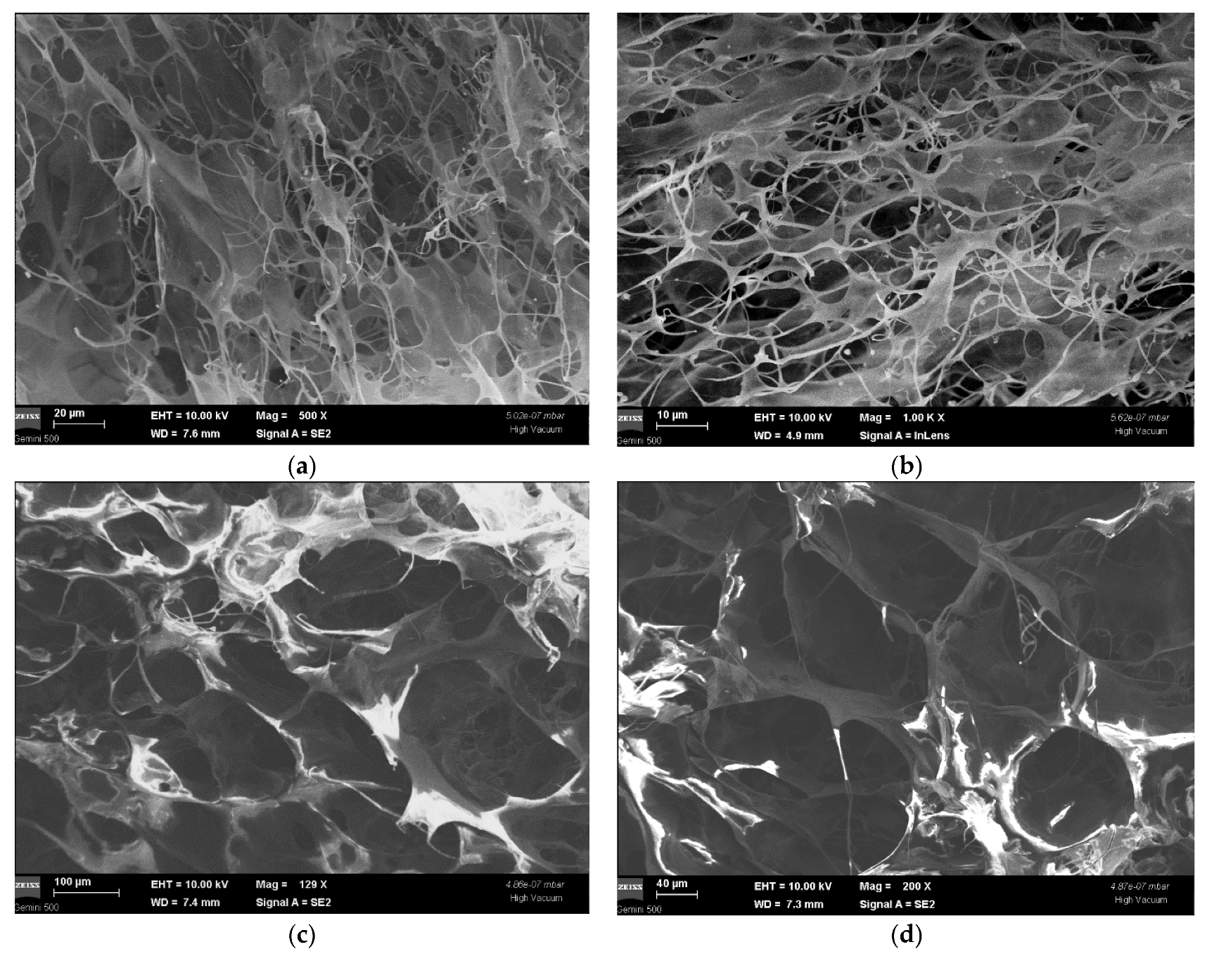 Polymers 14 02430 g003