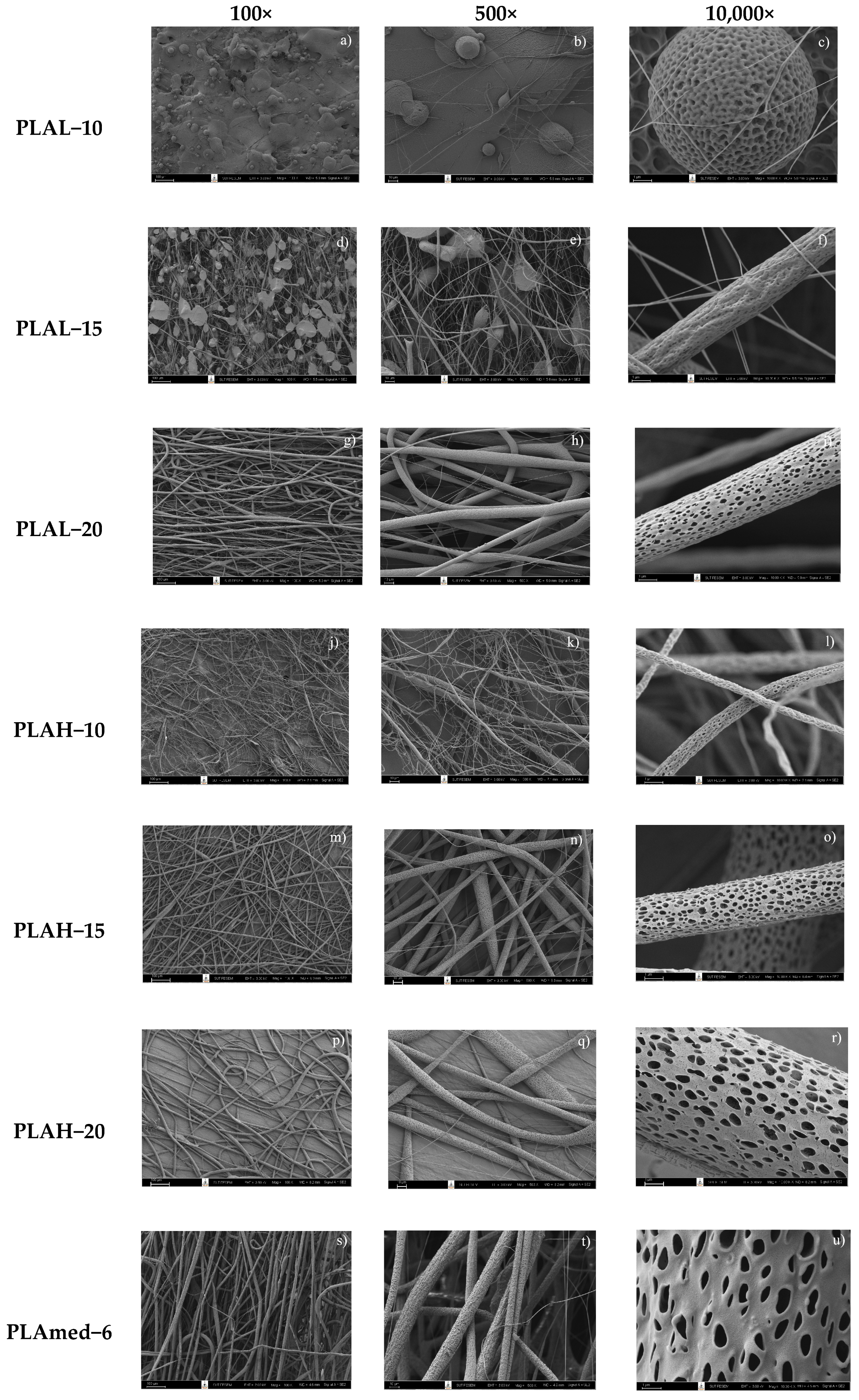 Polymers 14 02435 g001