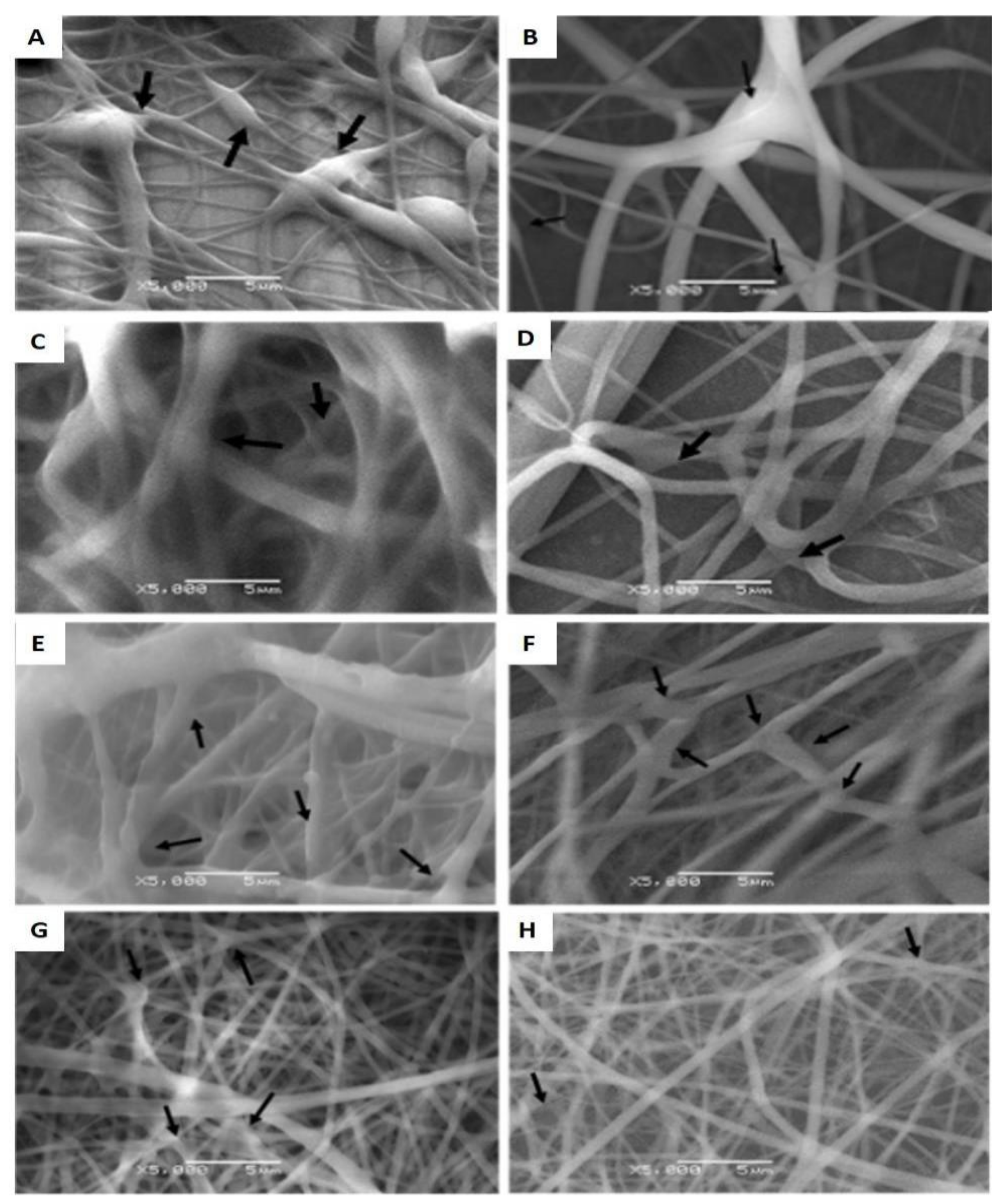 Polymers 14 02448 g003