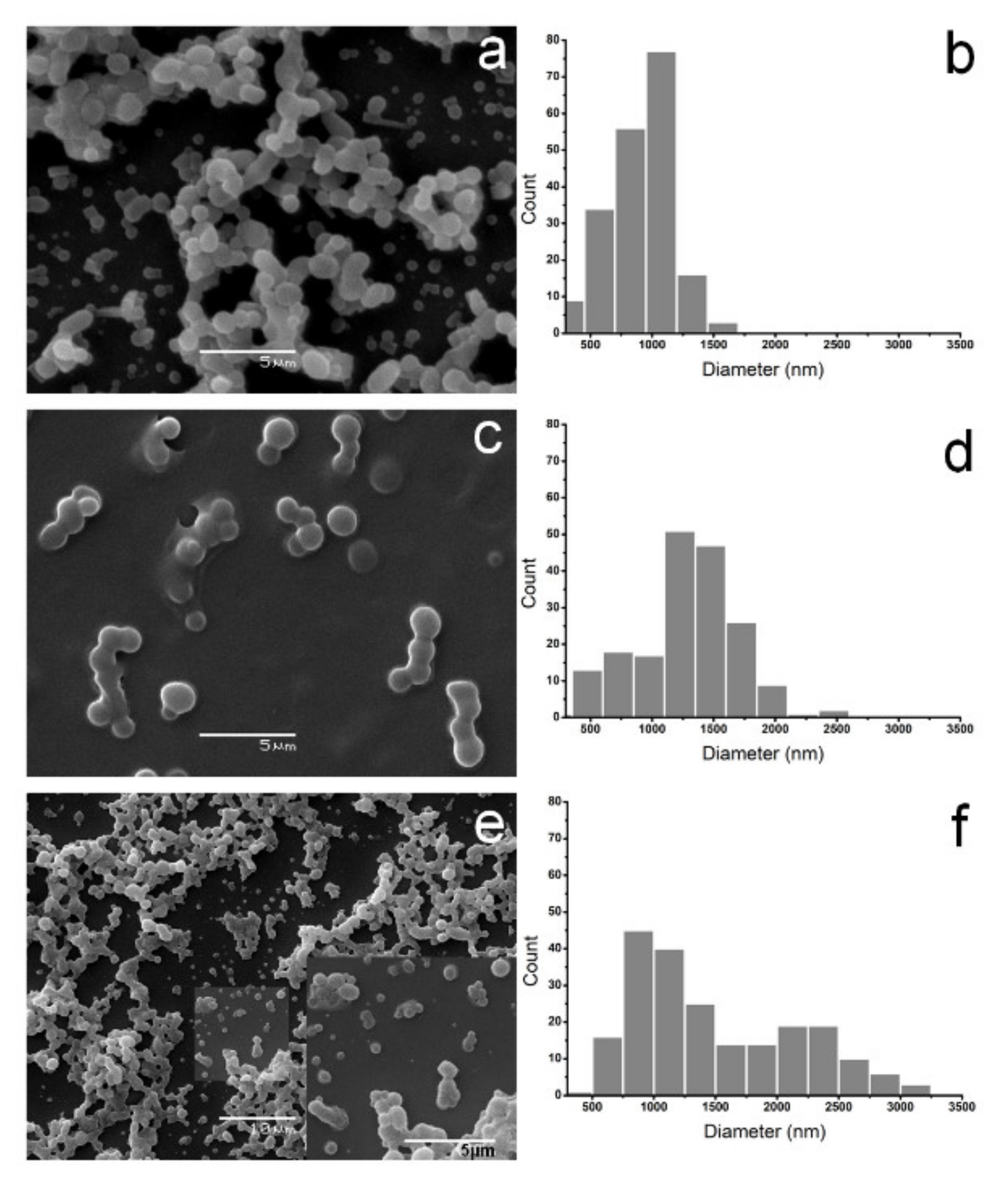 Polymers 14 02452 g001