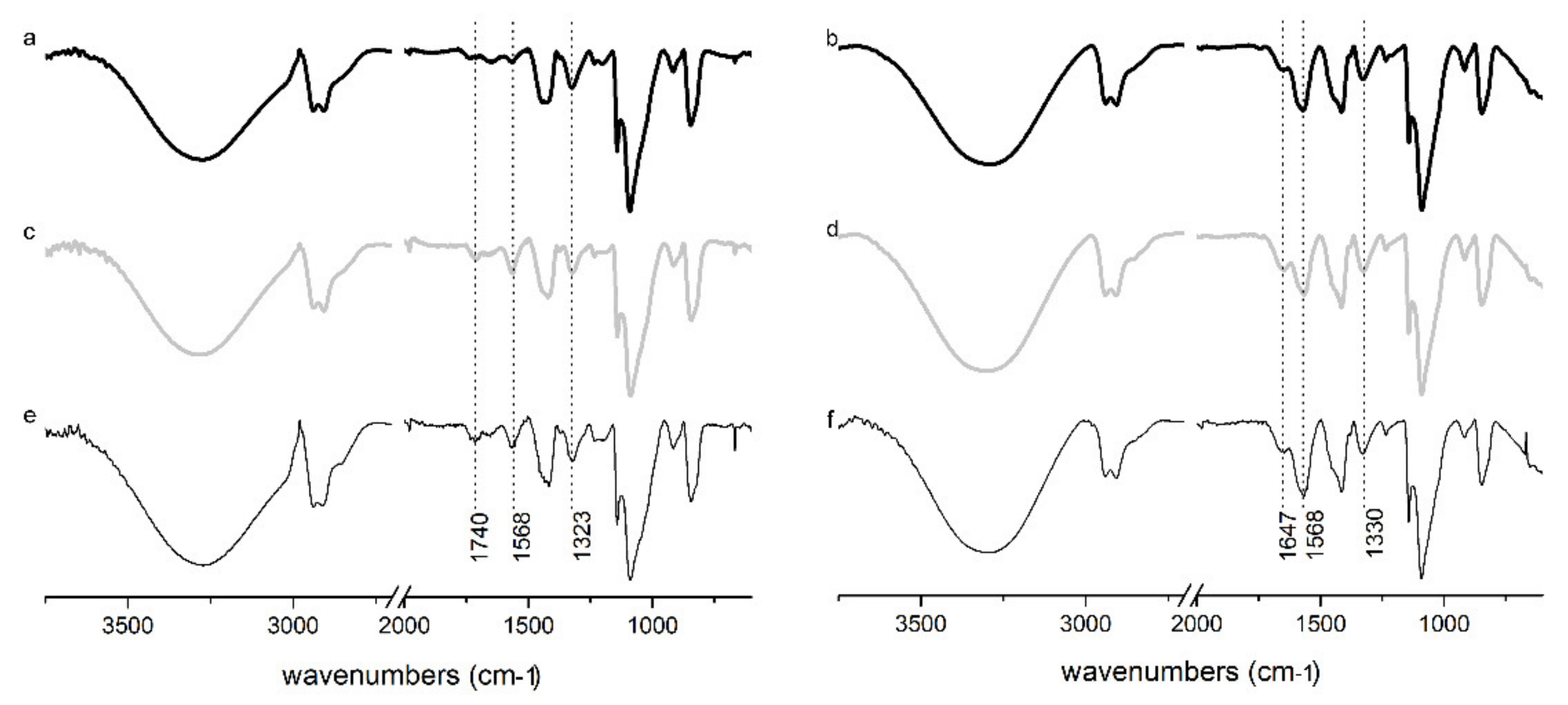 Polymers 14 02452 g002