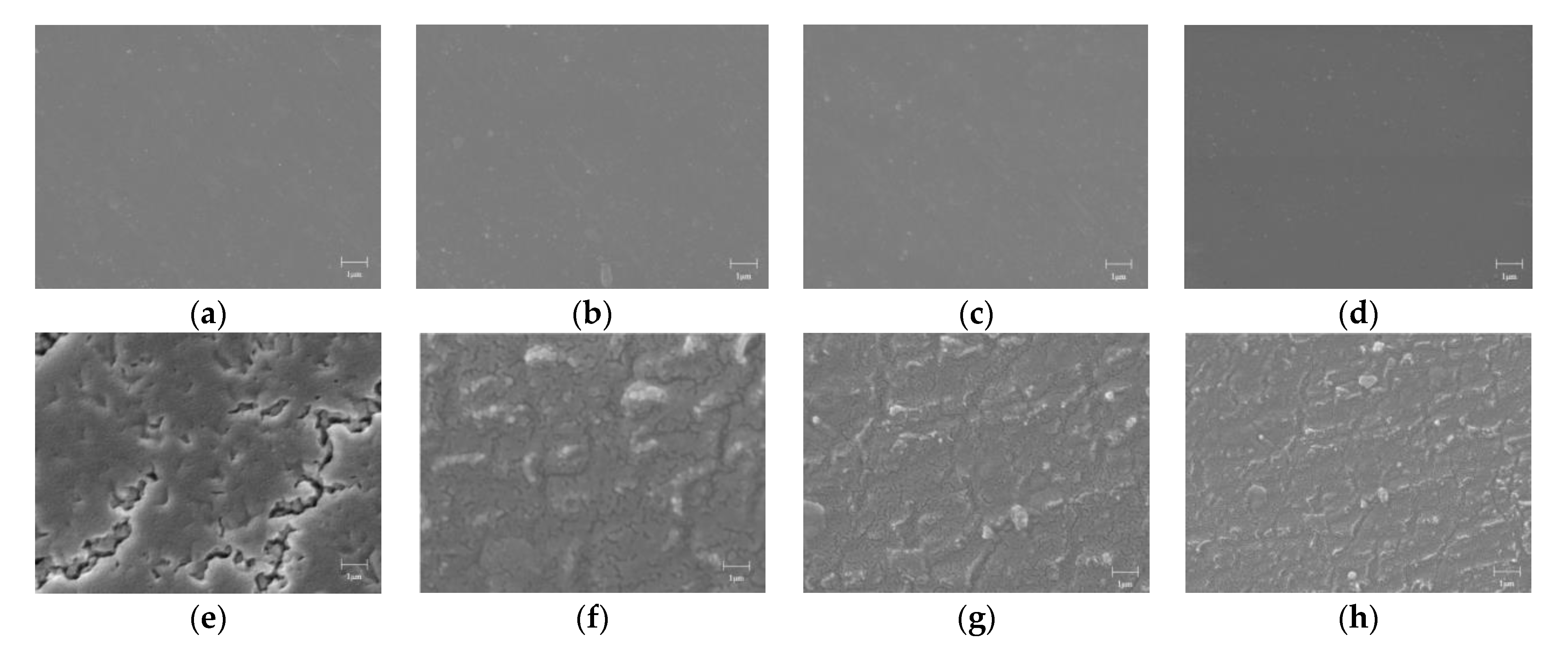 Polymers 14 02453 g011