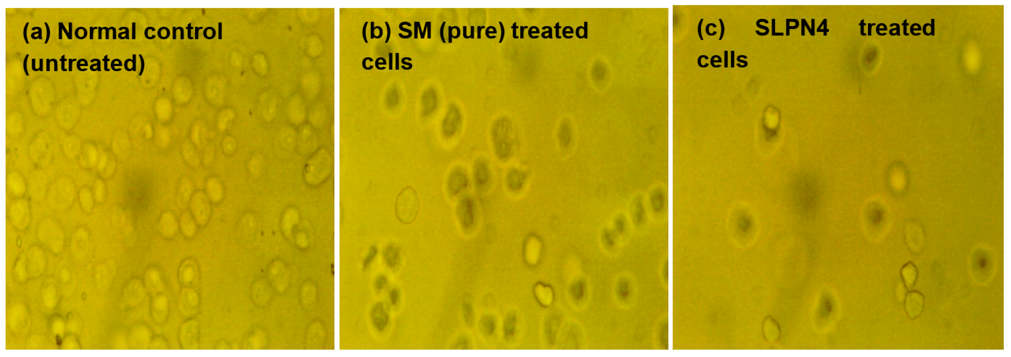 Polymers 14 02459 g009