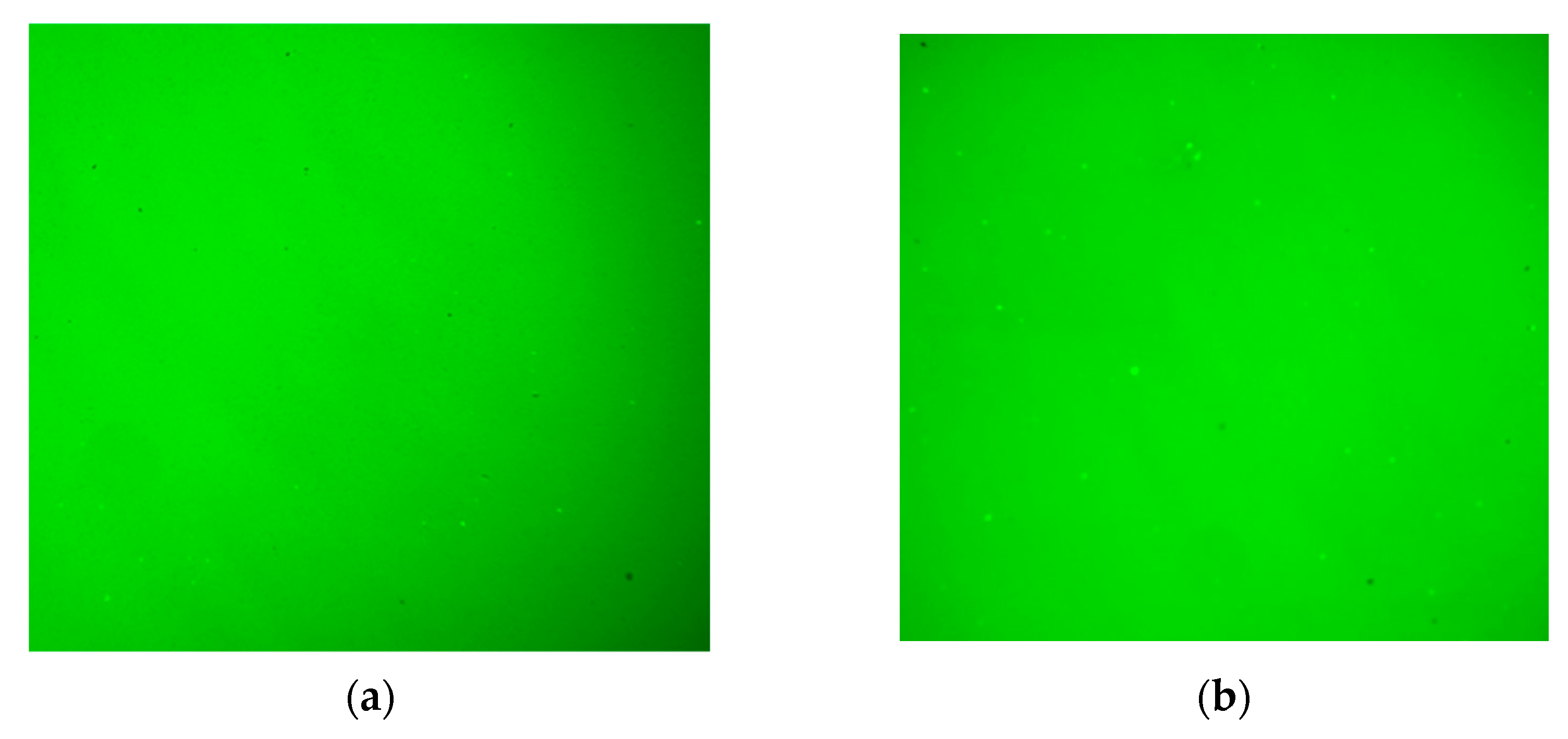 Polymers 14 02476 g015a