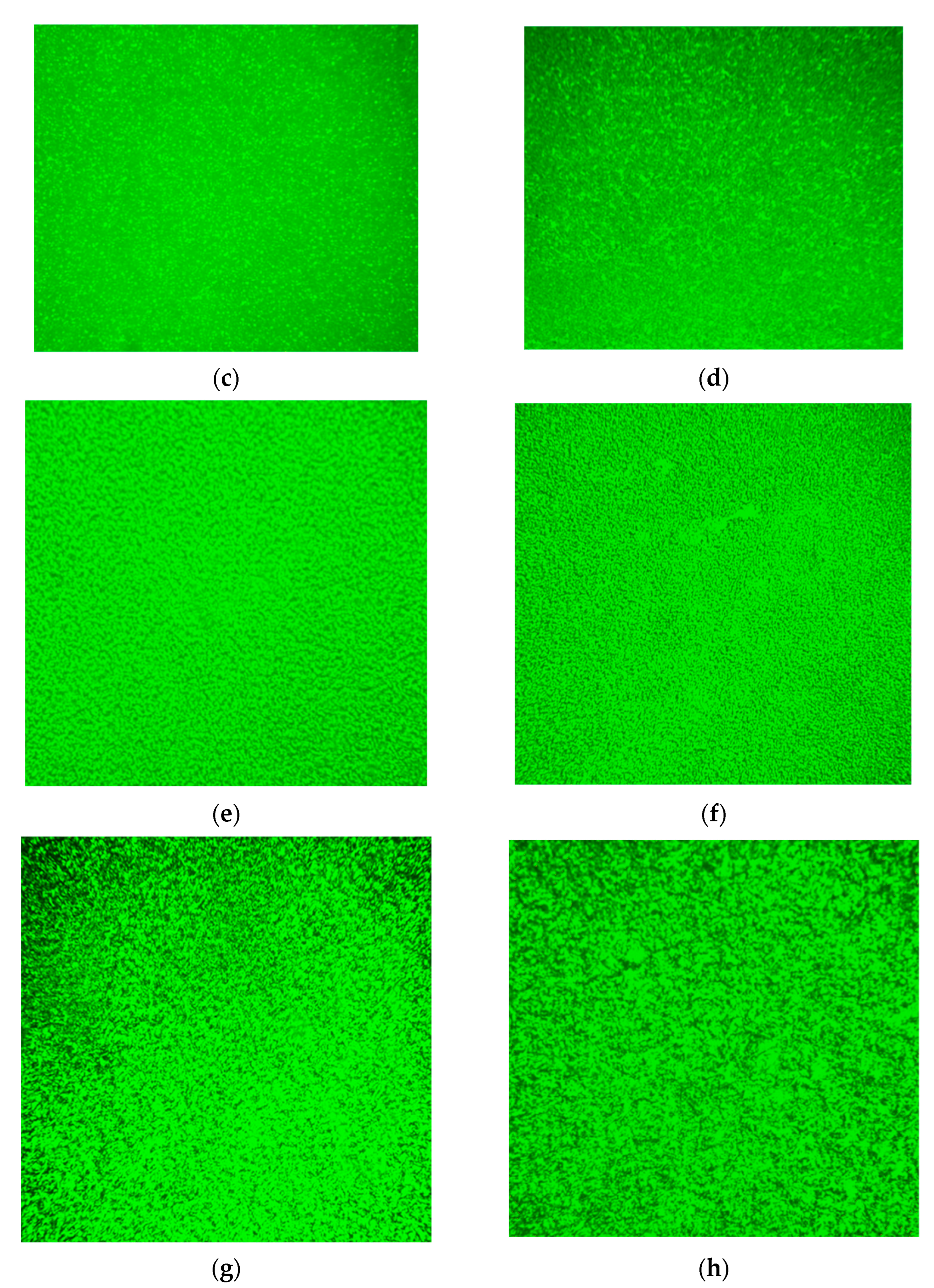 Polymers 14 02476 g015b