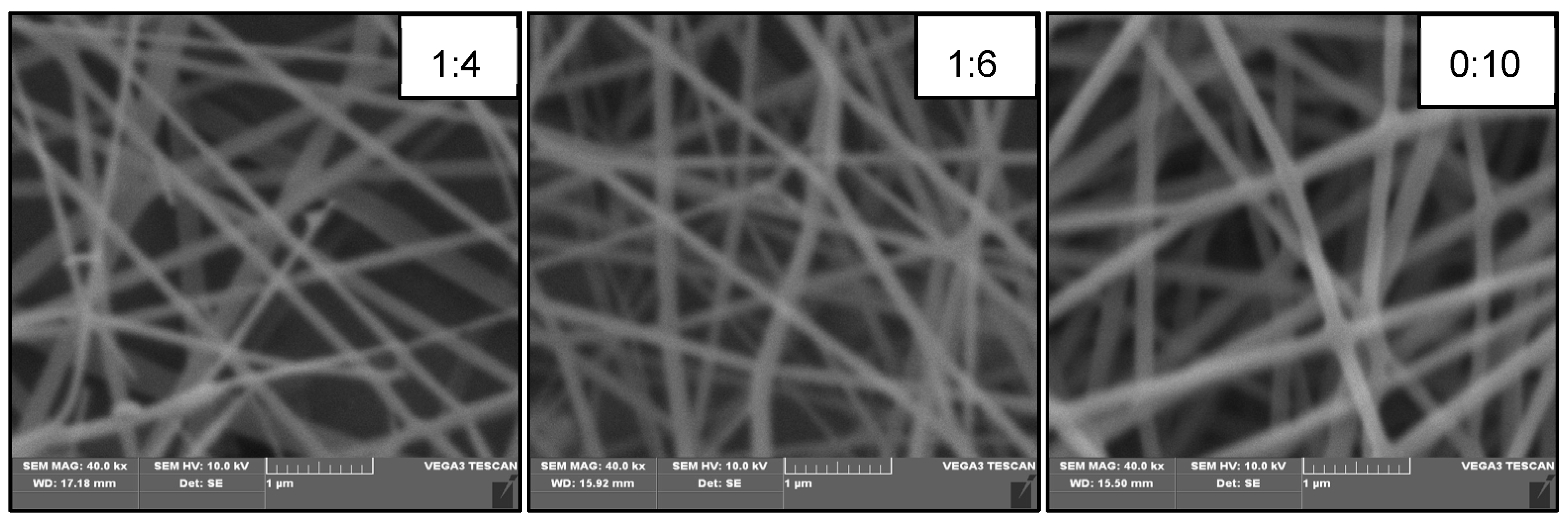 Polymers 14 02489 g005