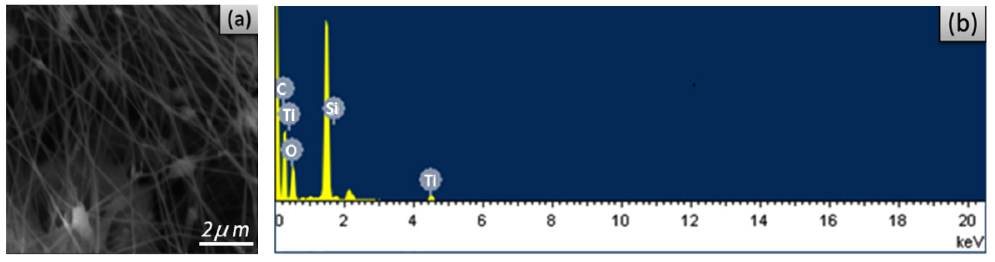 Polymers 14 02489 g006