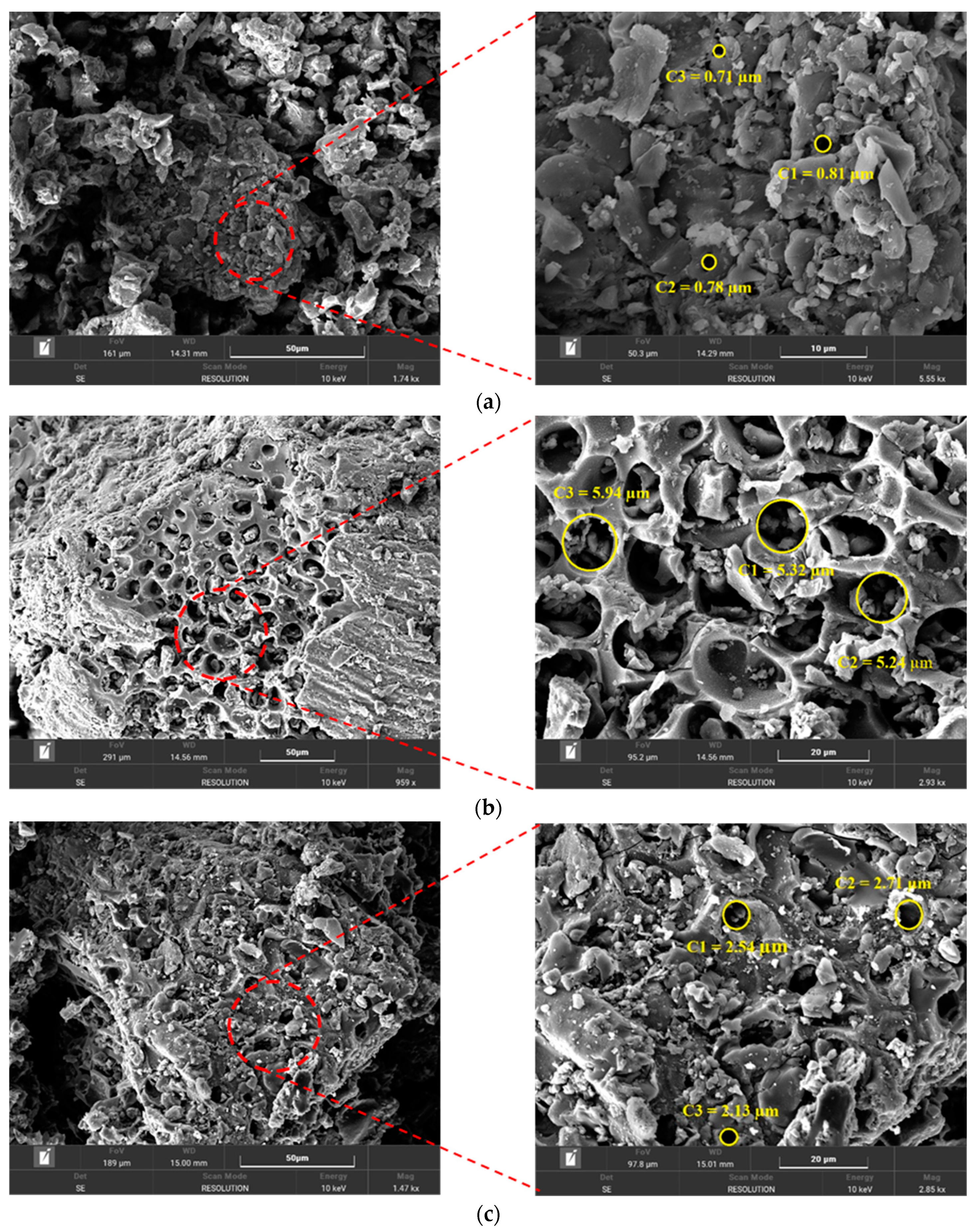 Polymers 14 02503 g006a