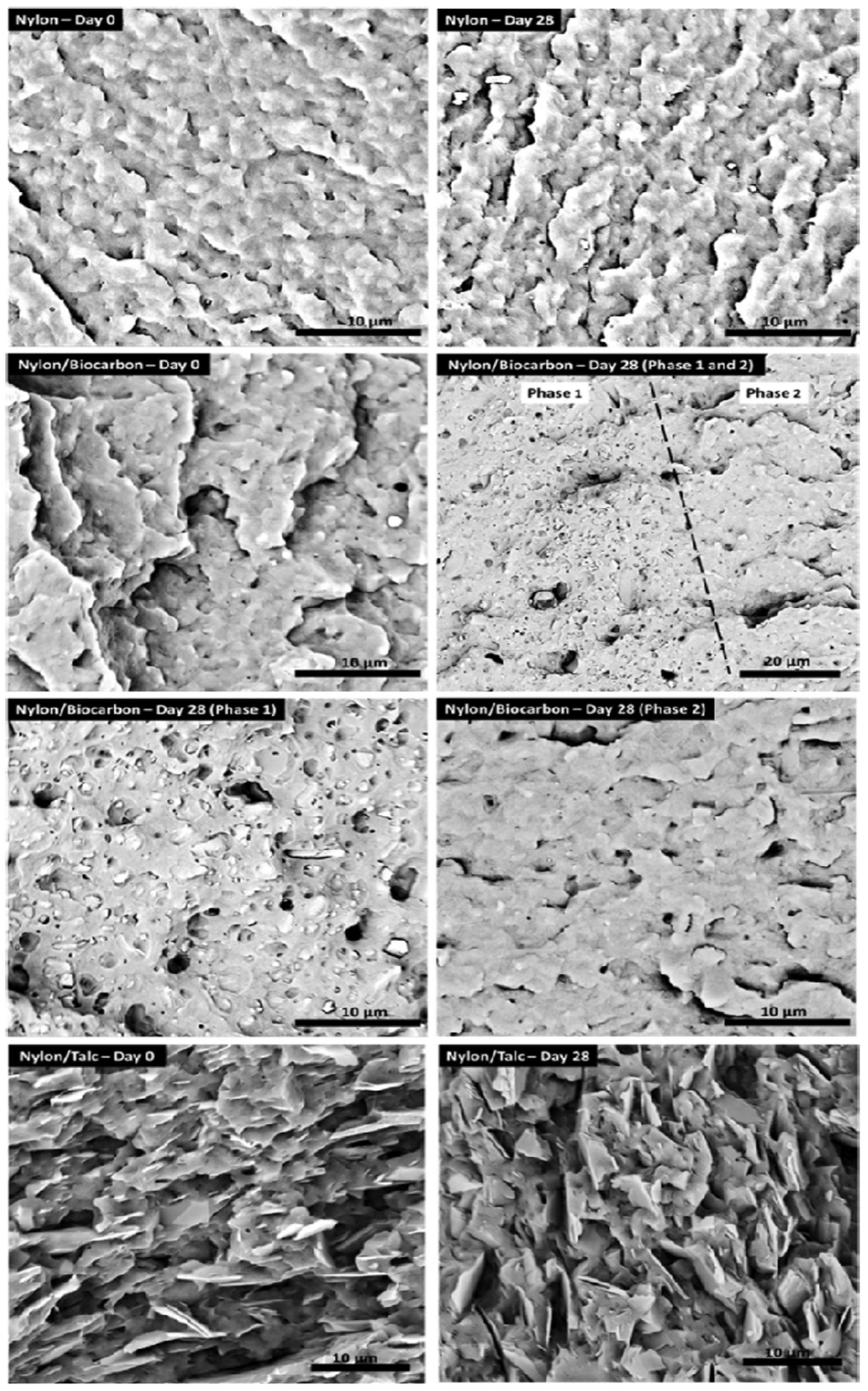 Polymers 14 02506 g007