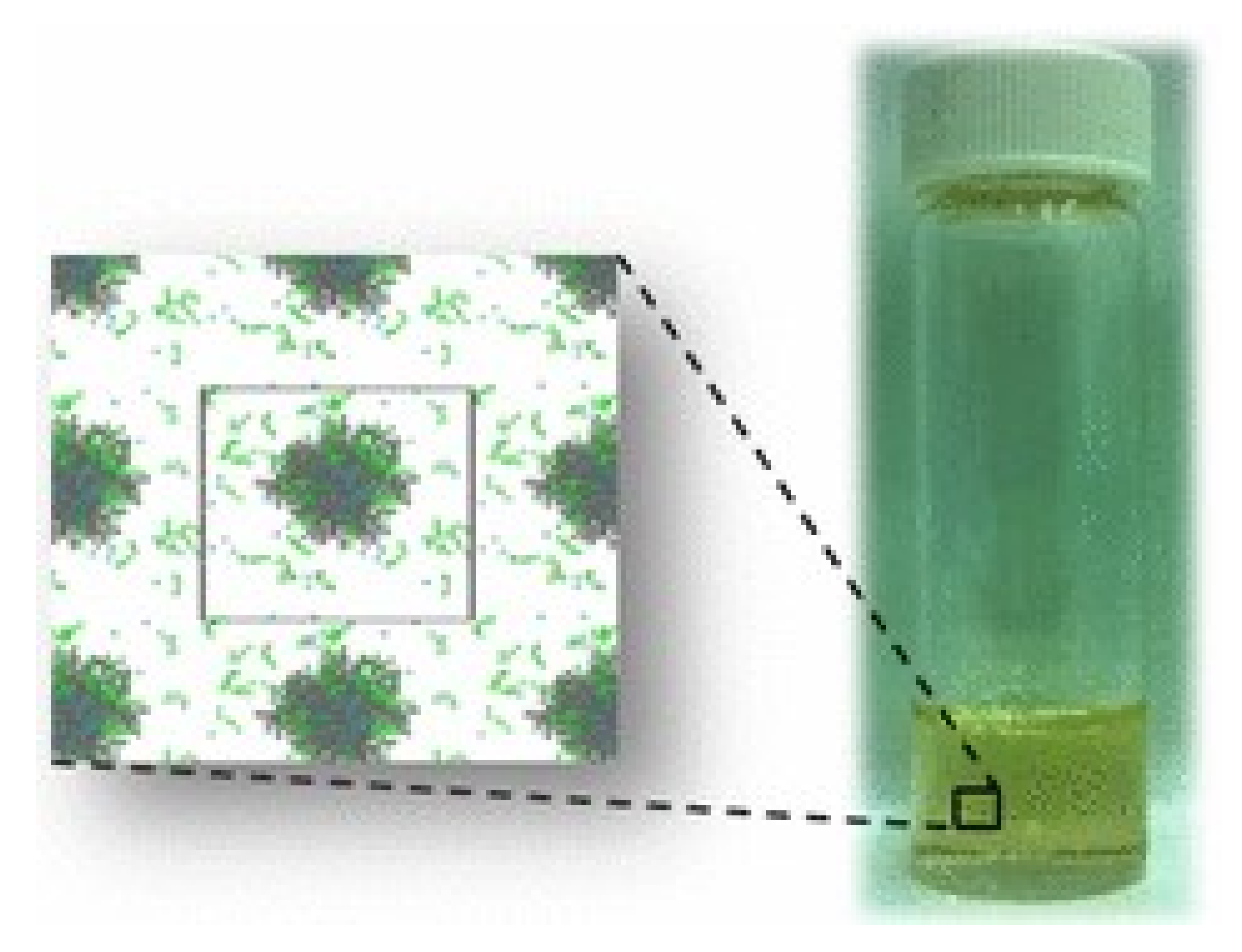 Polymers 14 02510 g006 Polymers 14 02510 g006