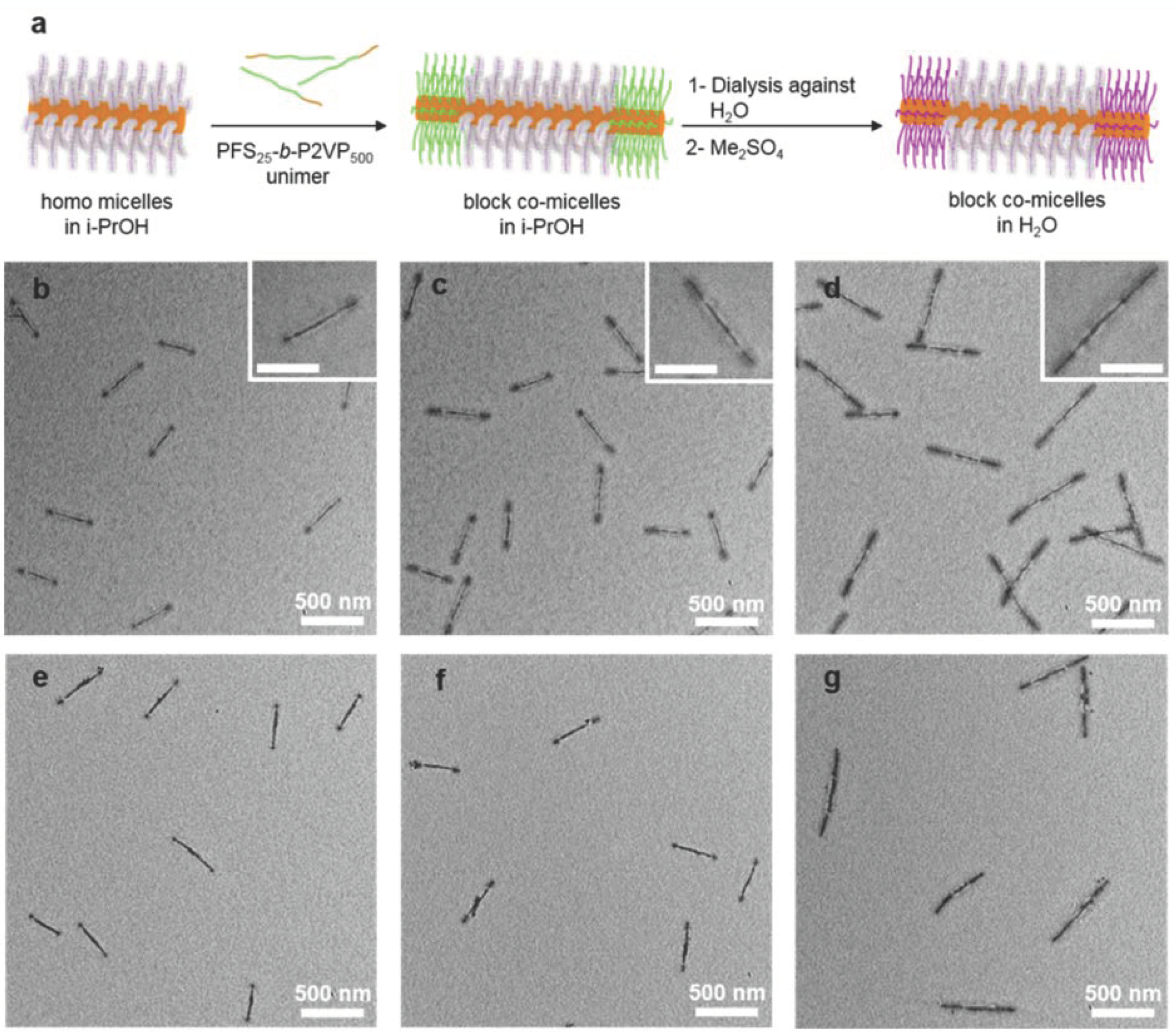 Polymers 14 02510 g007 Polymers 14 02510 g007