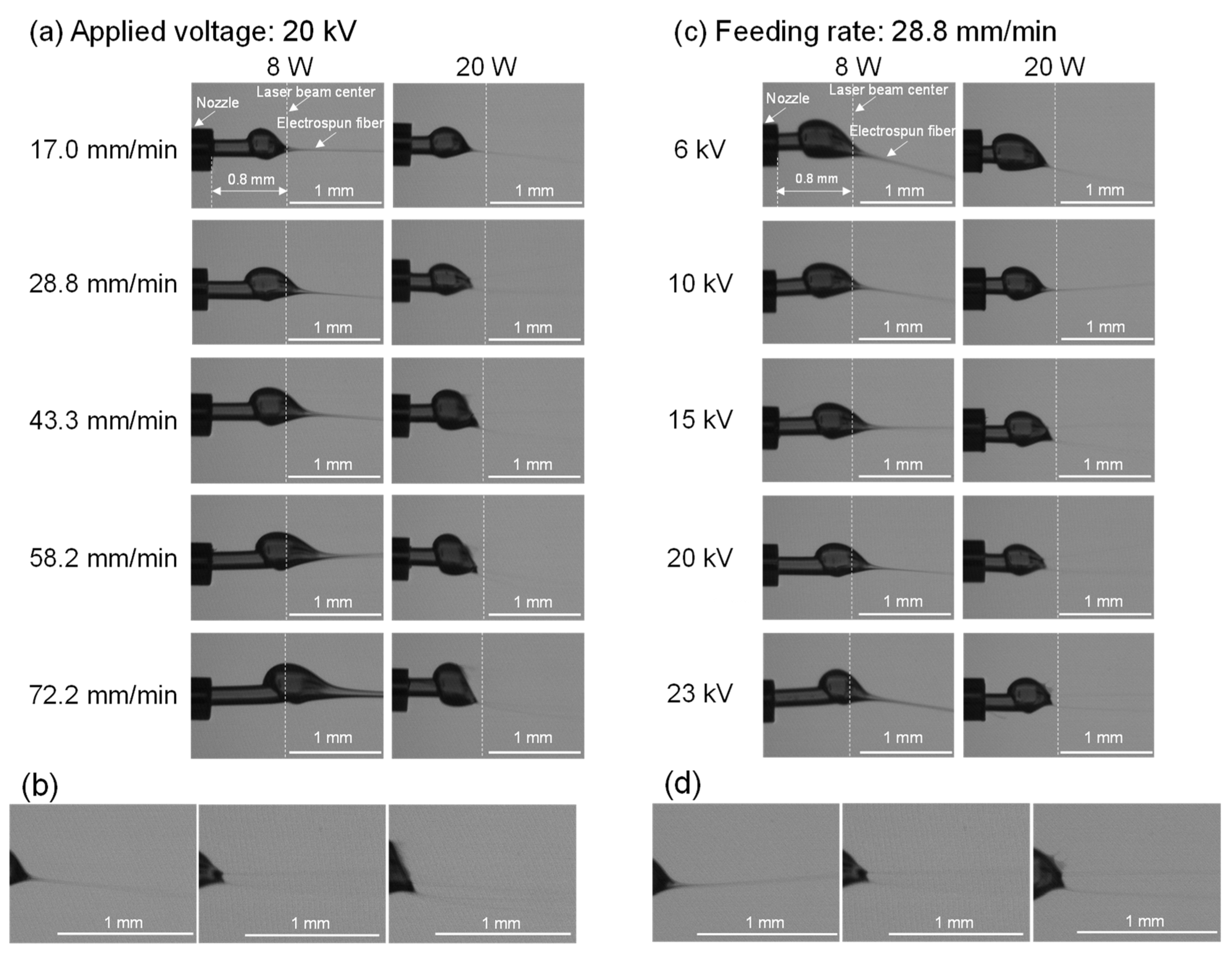Polymers 14 02511 g003 Polymers 14 02511 g003