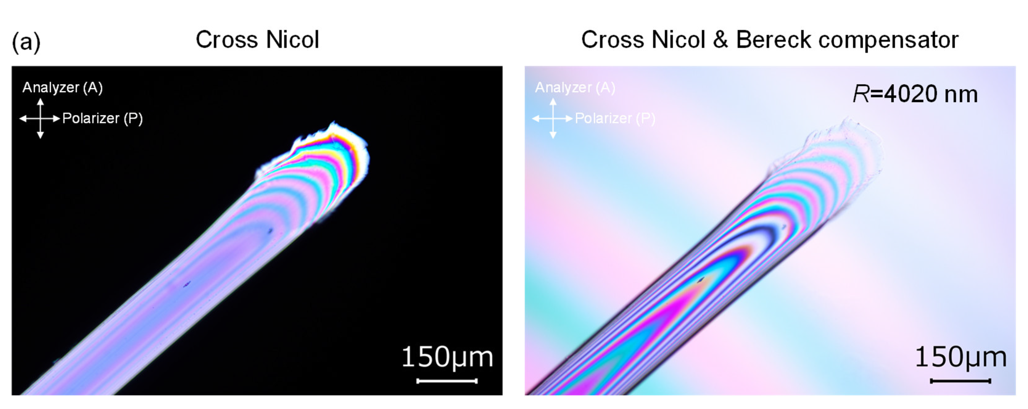 Polymers 14 02511 g014a Polymers 14 02511 g014a