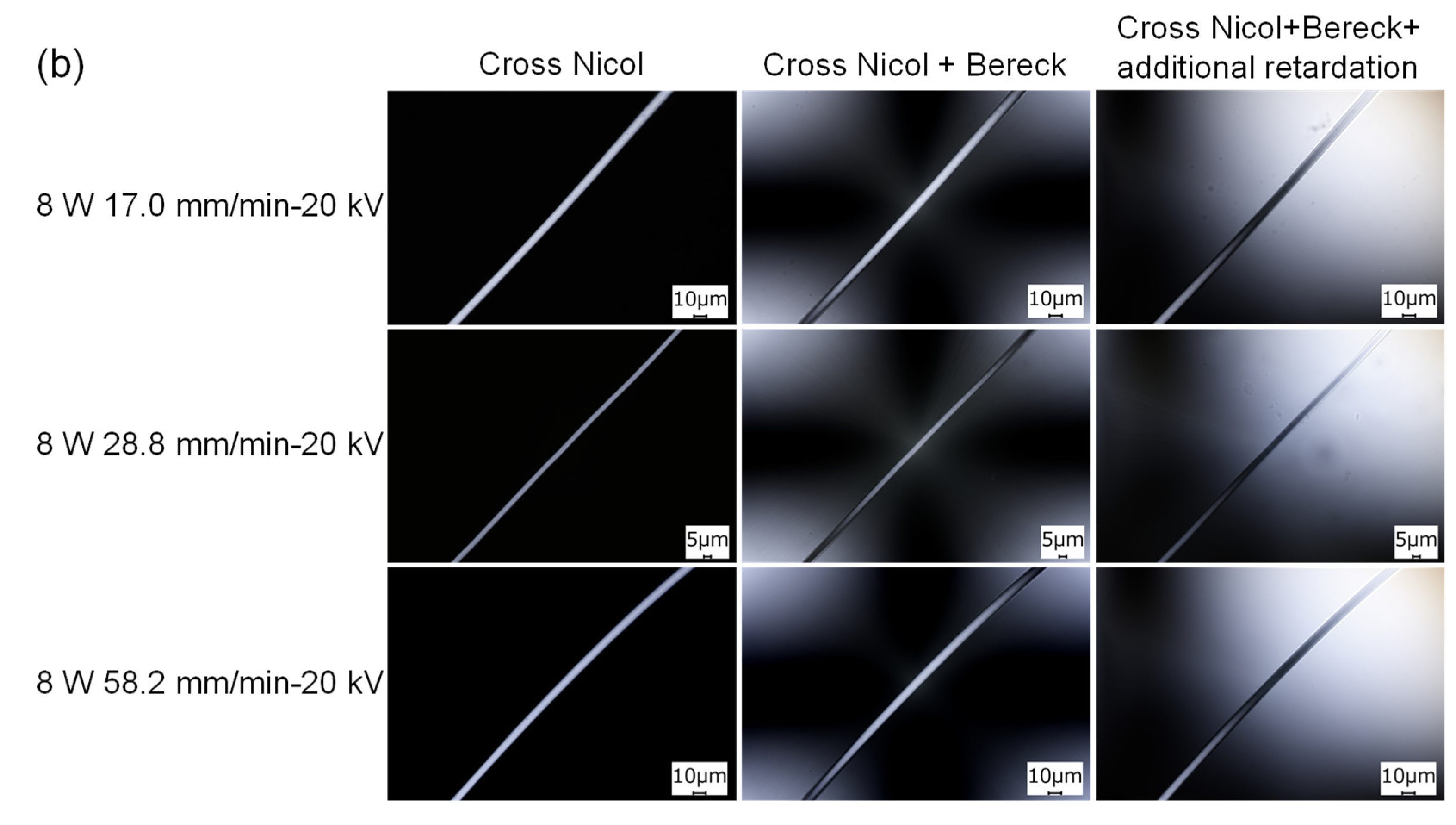 Polymers 14 02511 g014b Polymers 14 02511 g014b