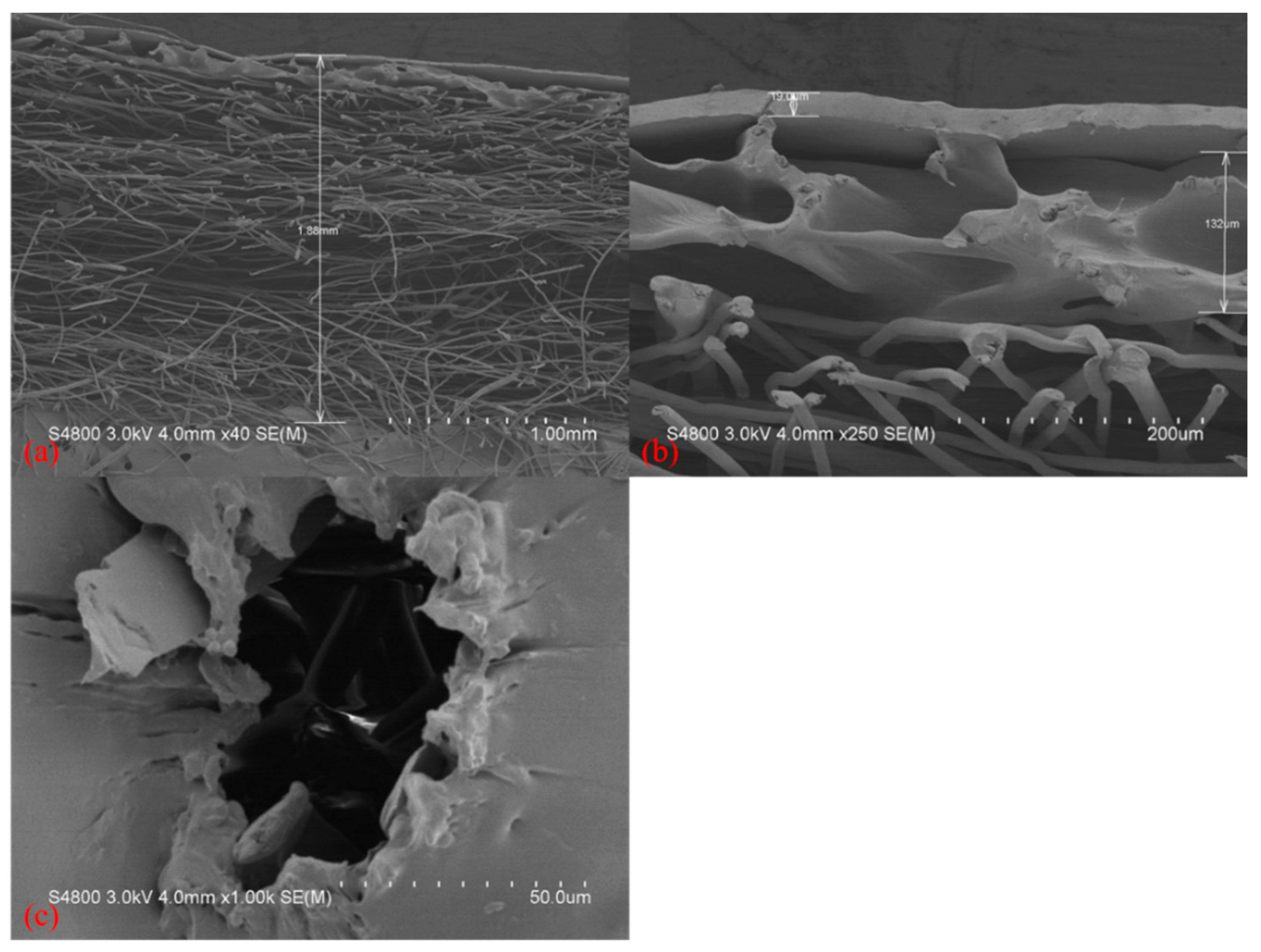 Polymers 14 02514 g007