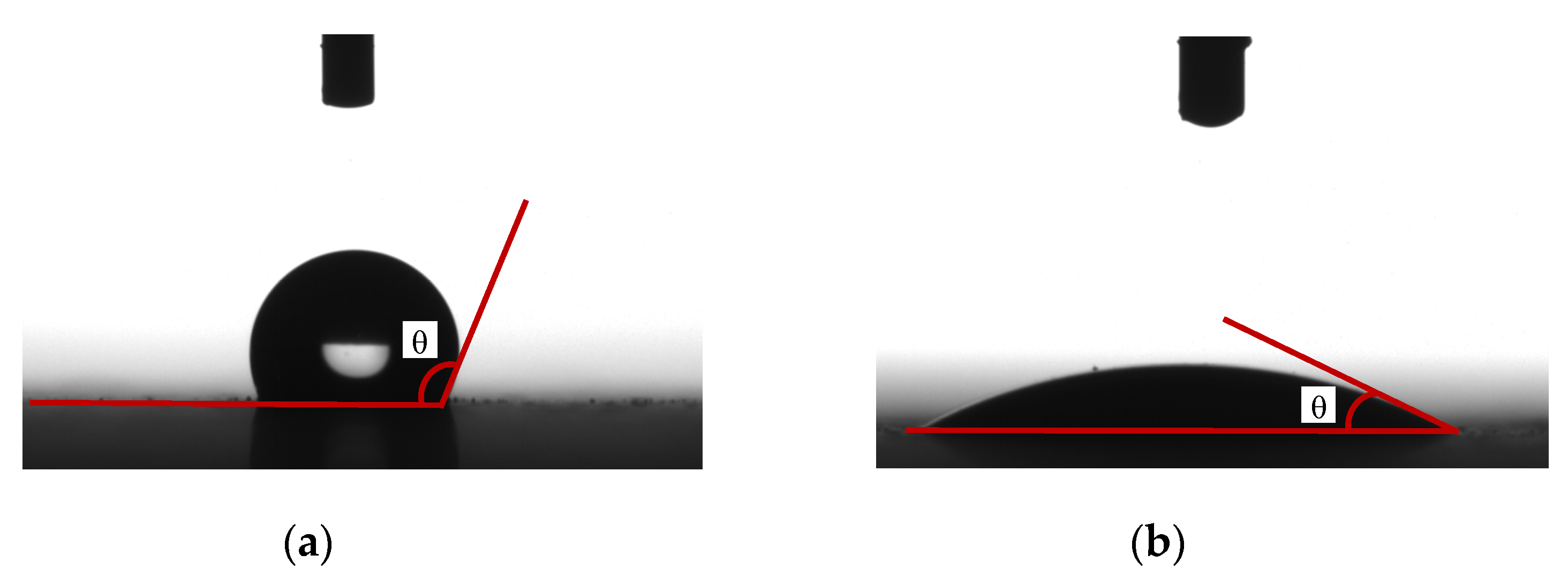 Polymers 14 02519 g002