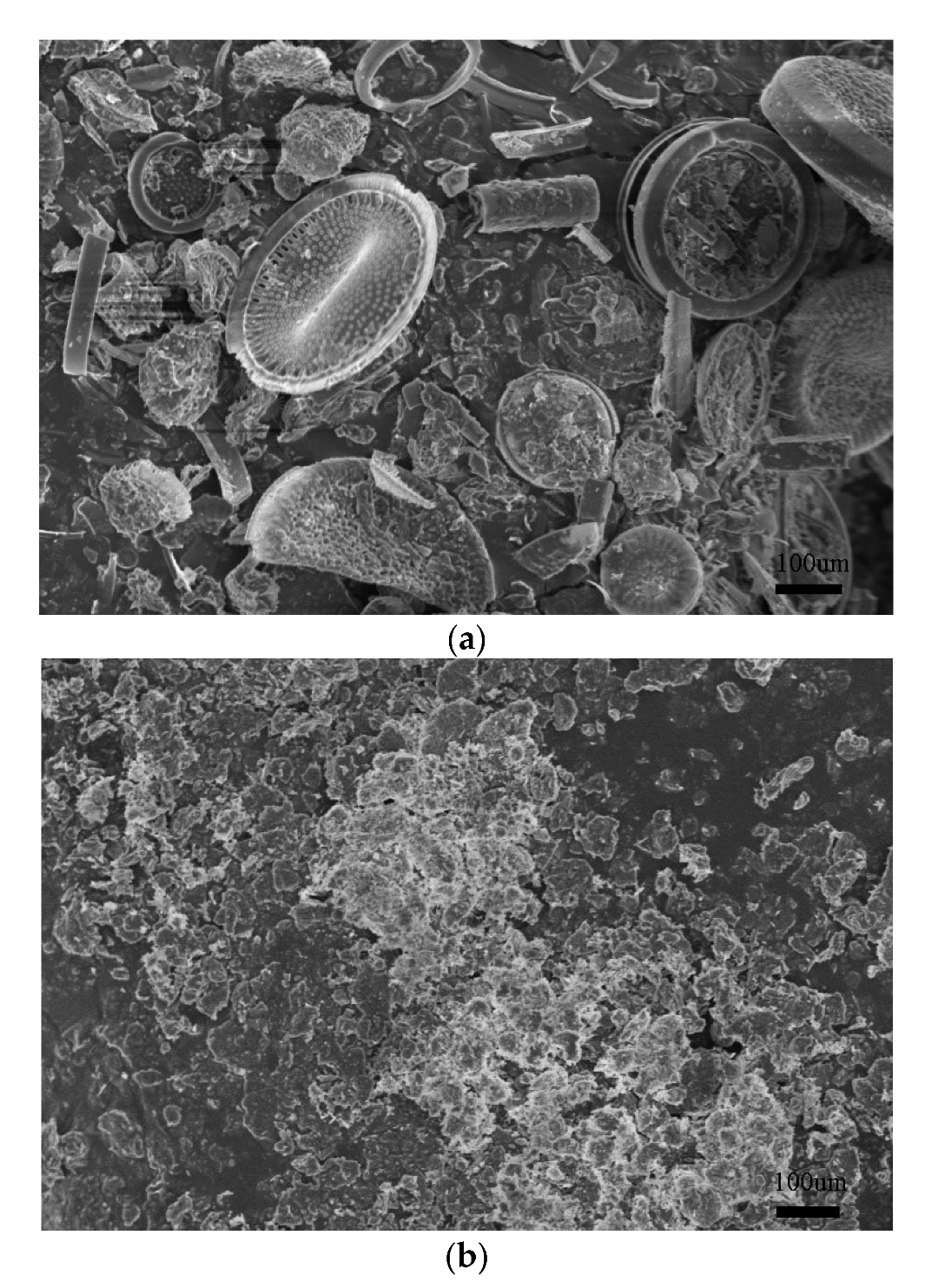 Polymers 14 02519 g007