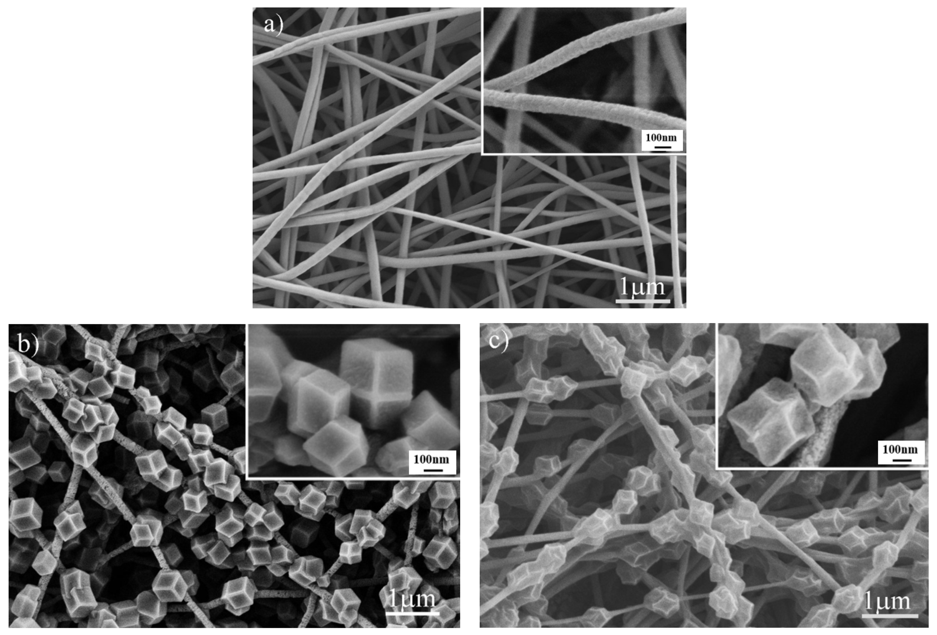 Polymers 14 02523 g002